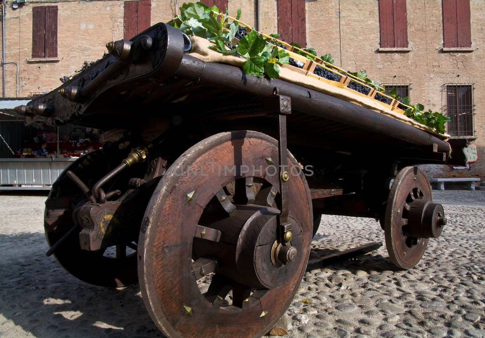 Old wooden wagon loaded with blue grapes