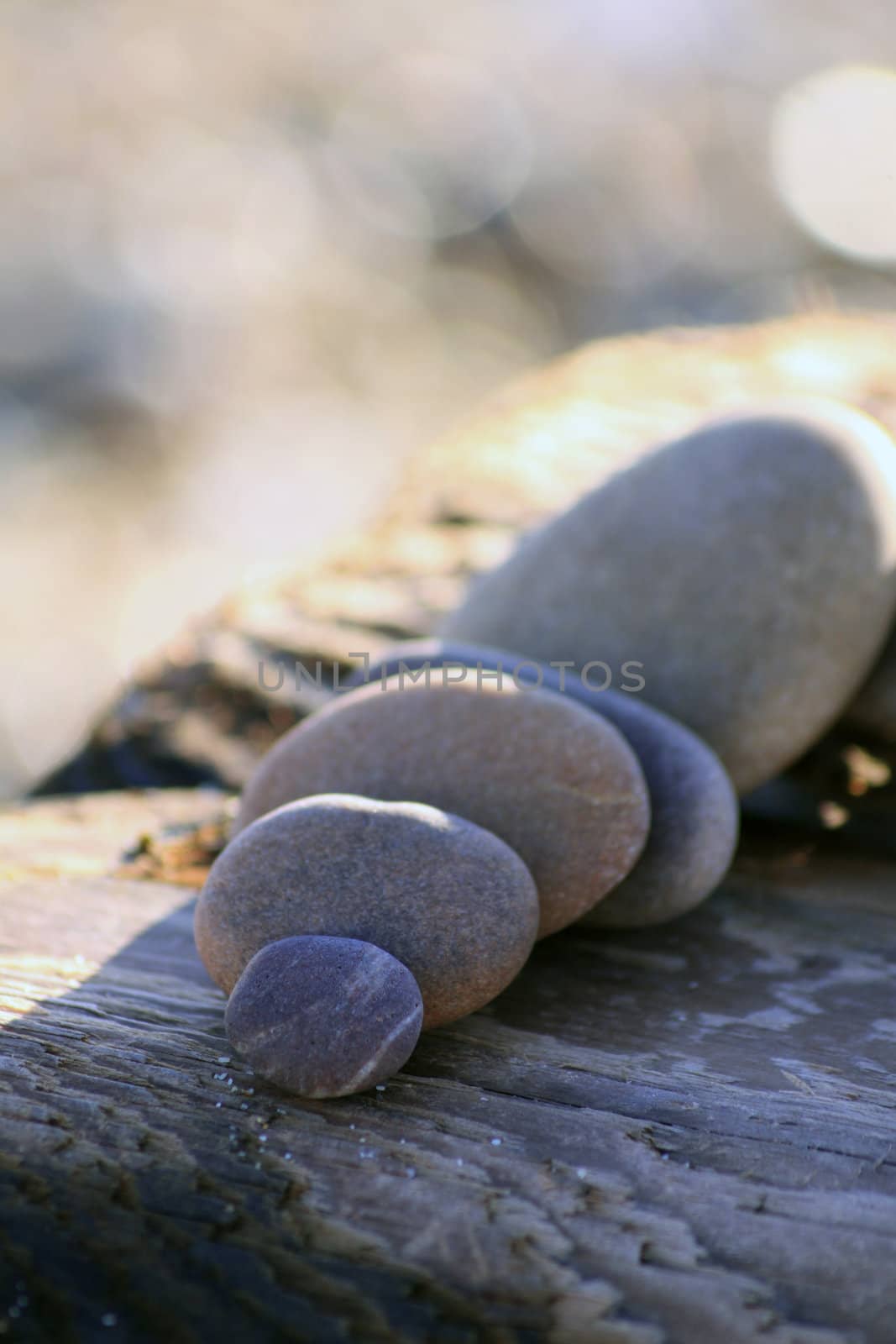 Beach pebbles in various sizes and colours set on a block of drift wood found on the beach. A pebble and shingle beach background in soft focus.