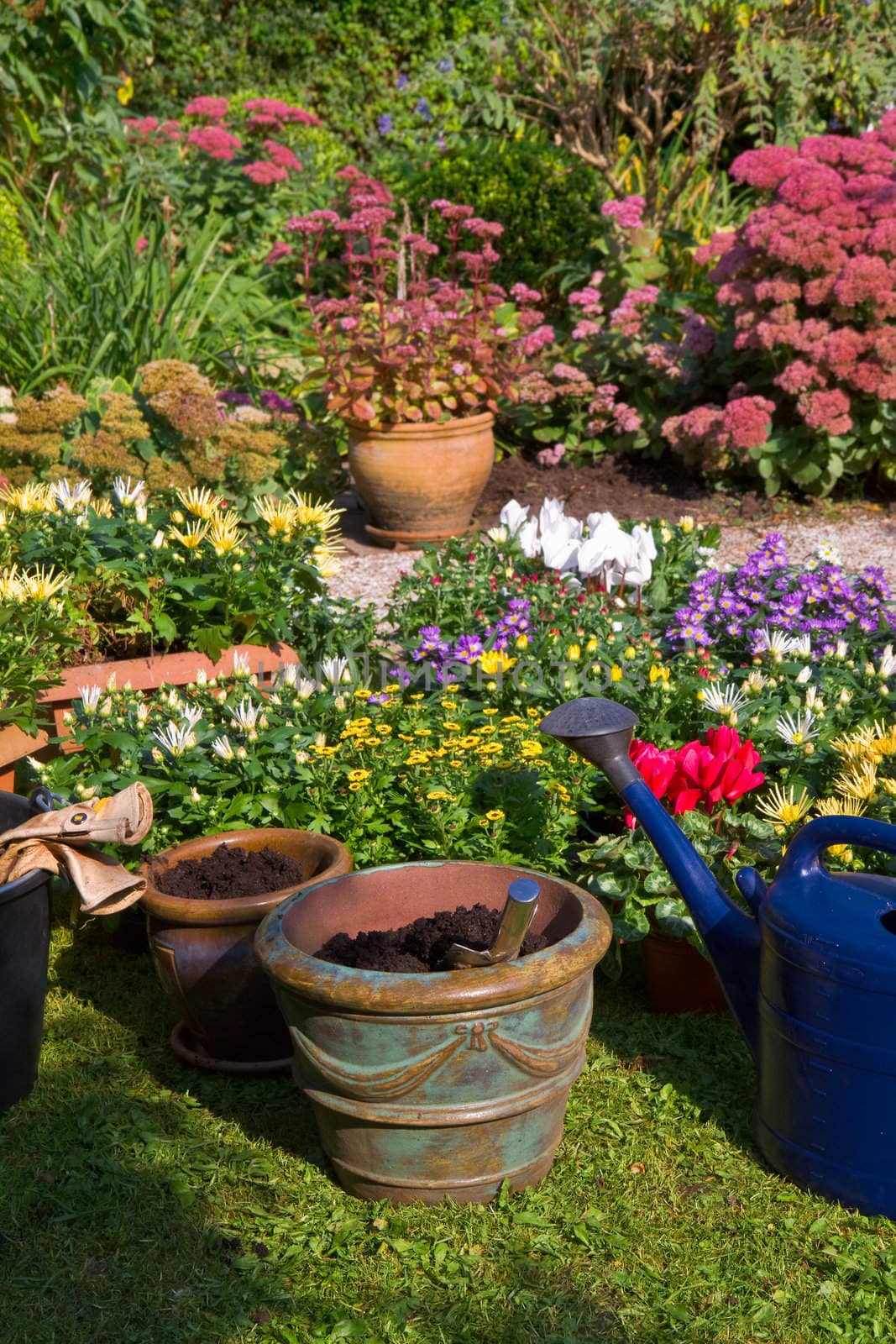 Garden with autumn flowers in September - Planting new plants in flowerpots and -boxes 