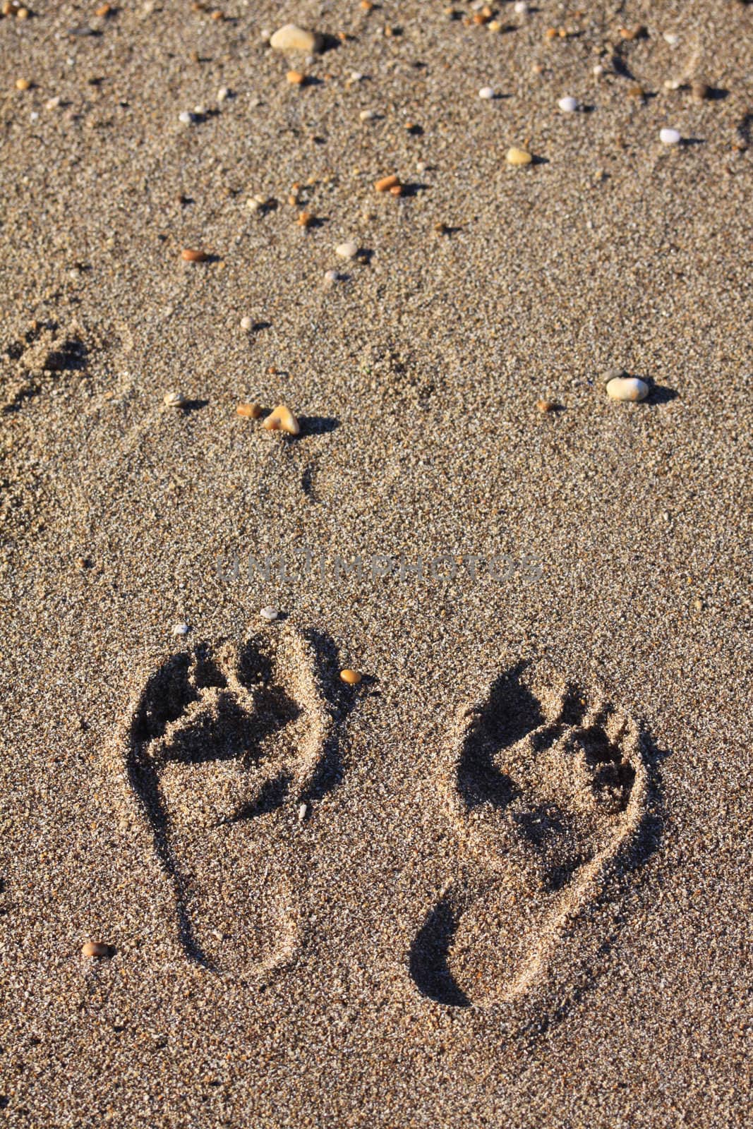 A pair of footprints in the sand.