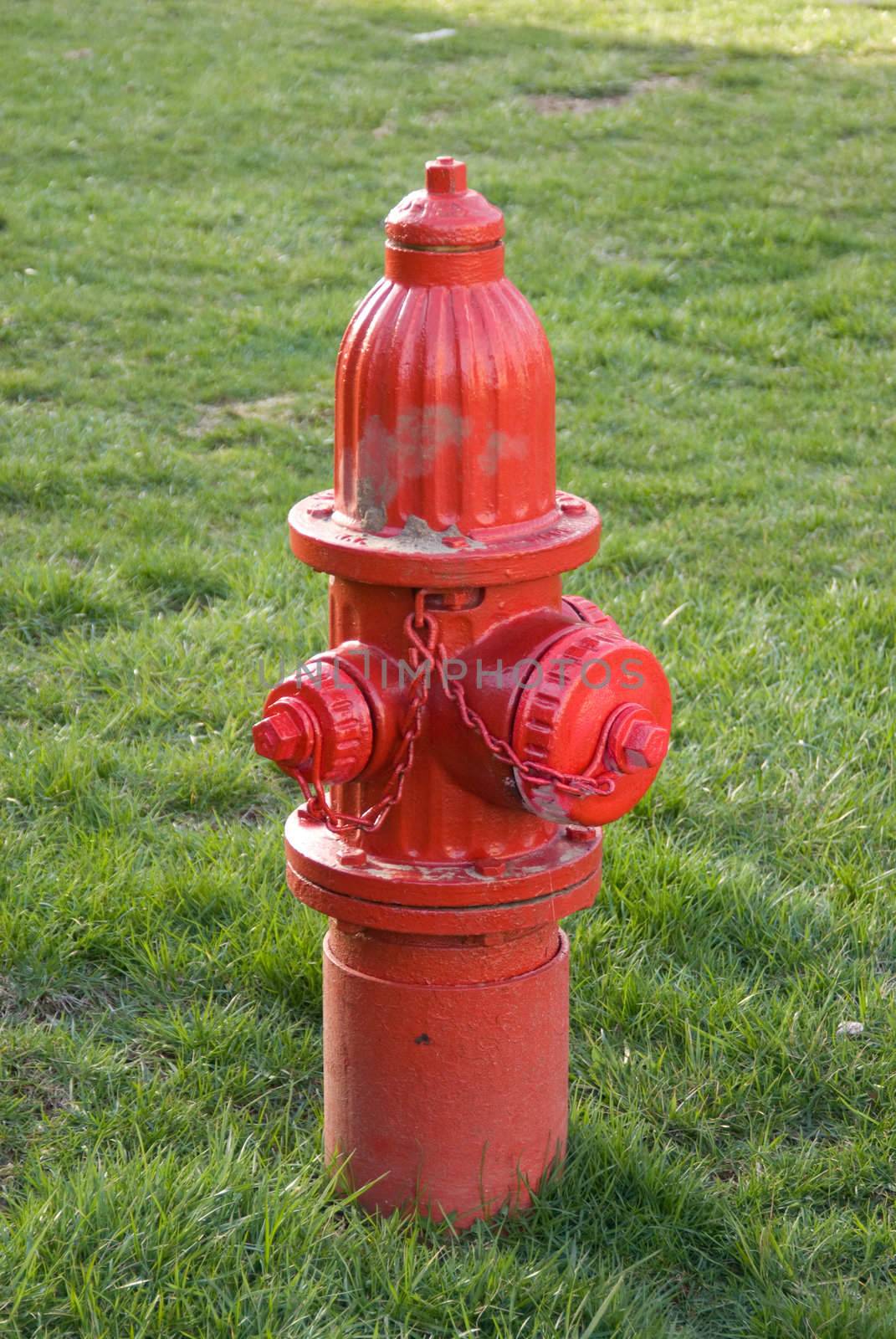 A beautiful fire hydrant on a lawn
