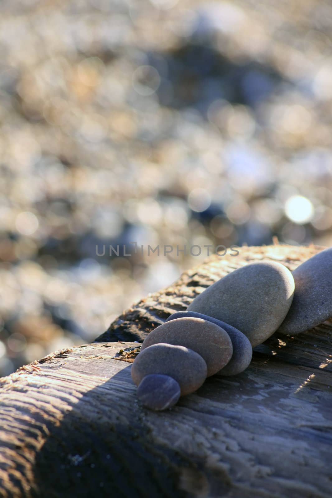 Beach pebbles in various sizes and colors set on a block of drift wood found on the beach. A pebble and shingle beach background in soft focus.