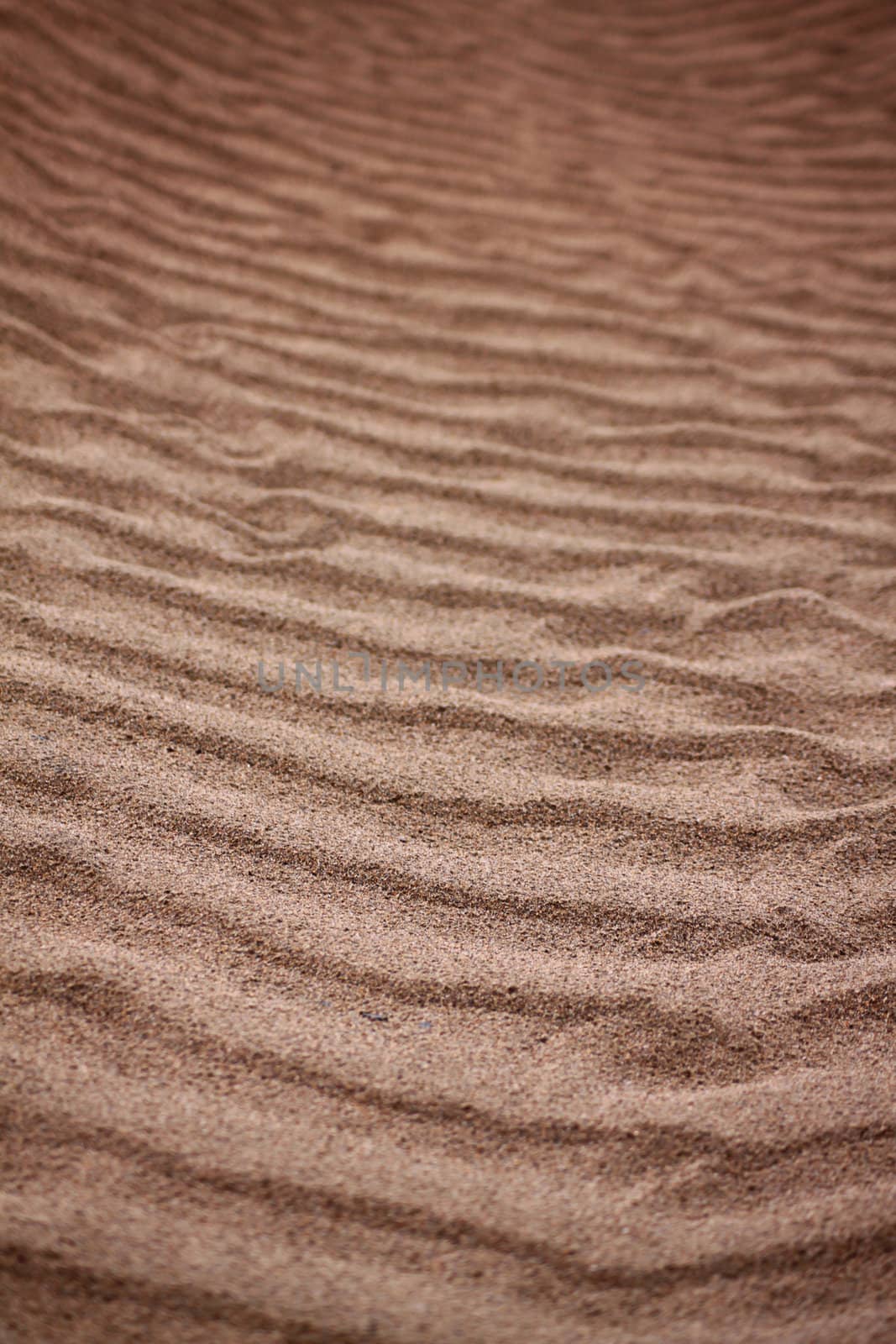 A portrait format image of ripples in the sand made by the outgoing tide.