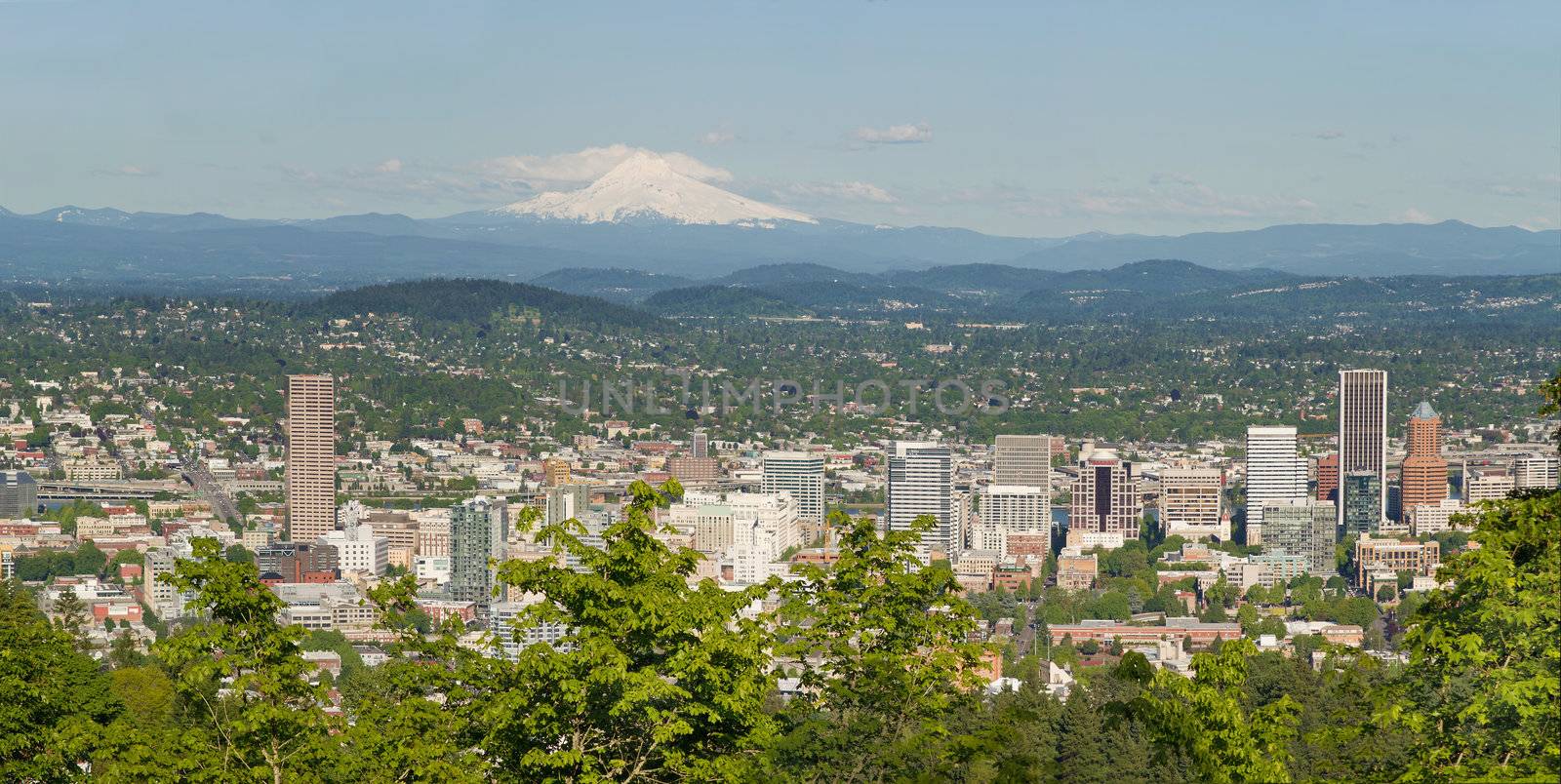 Portland Oregon Cityscape and Mount Hood Panorama