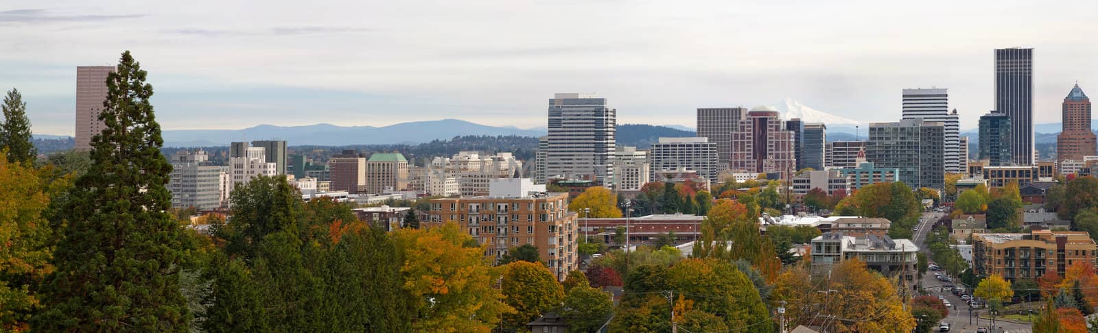 Portland Oregon Downtown City Skyline Panorama View in Fall
