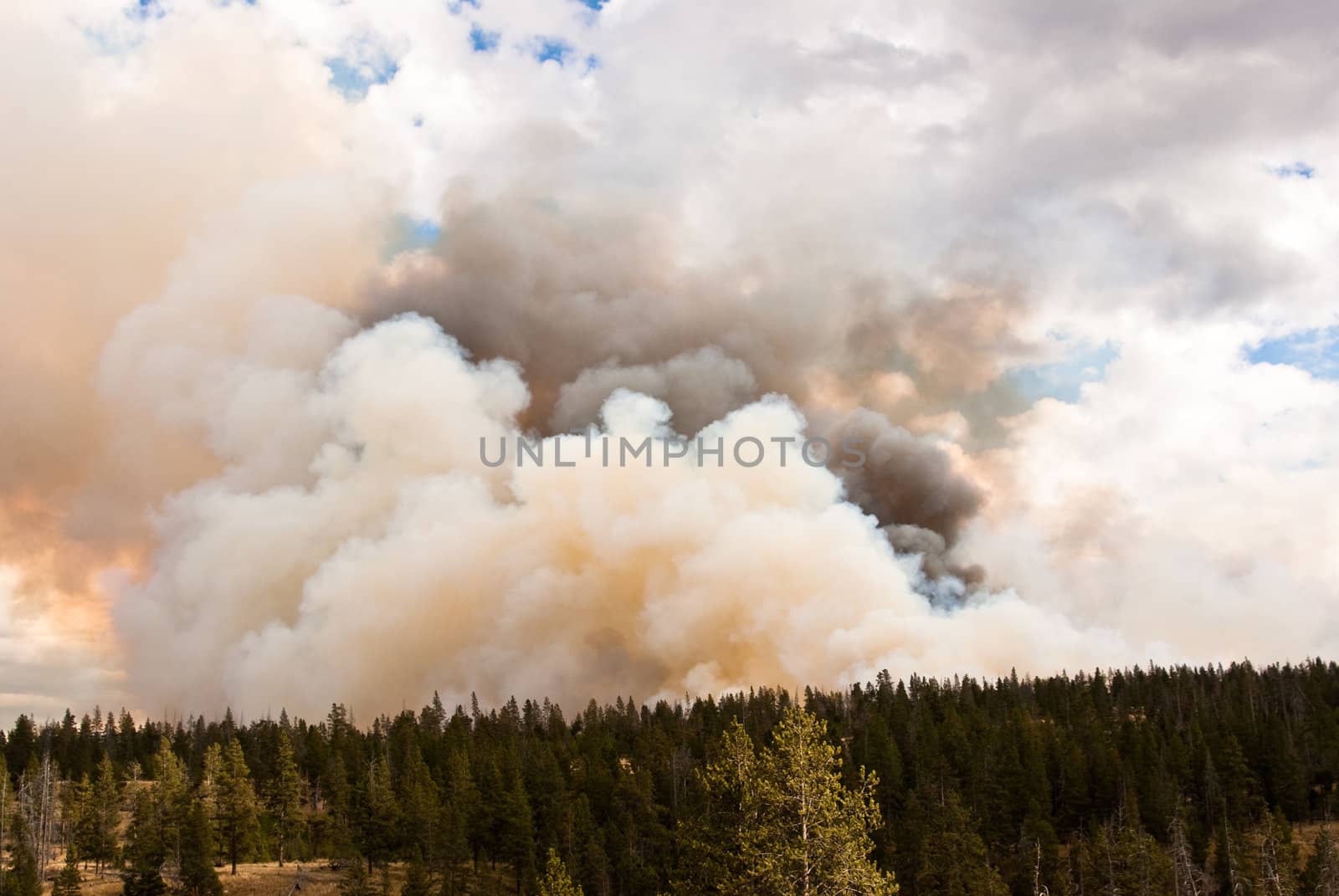 Massive clouds blow in wind of forest fire in Yellowstone
