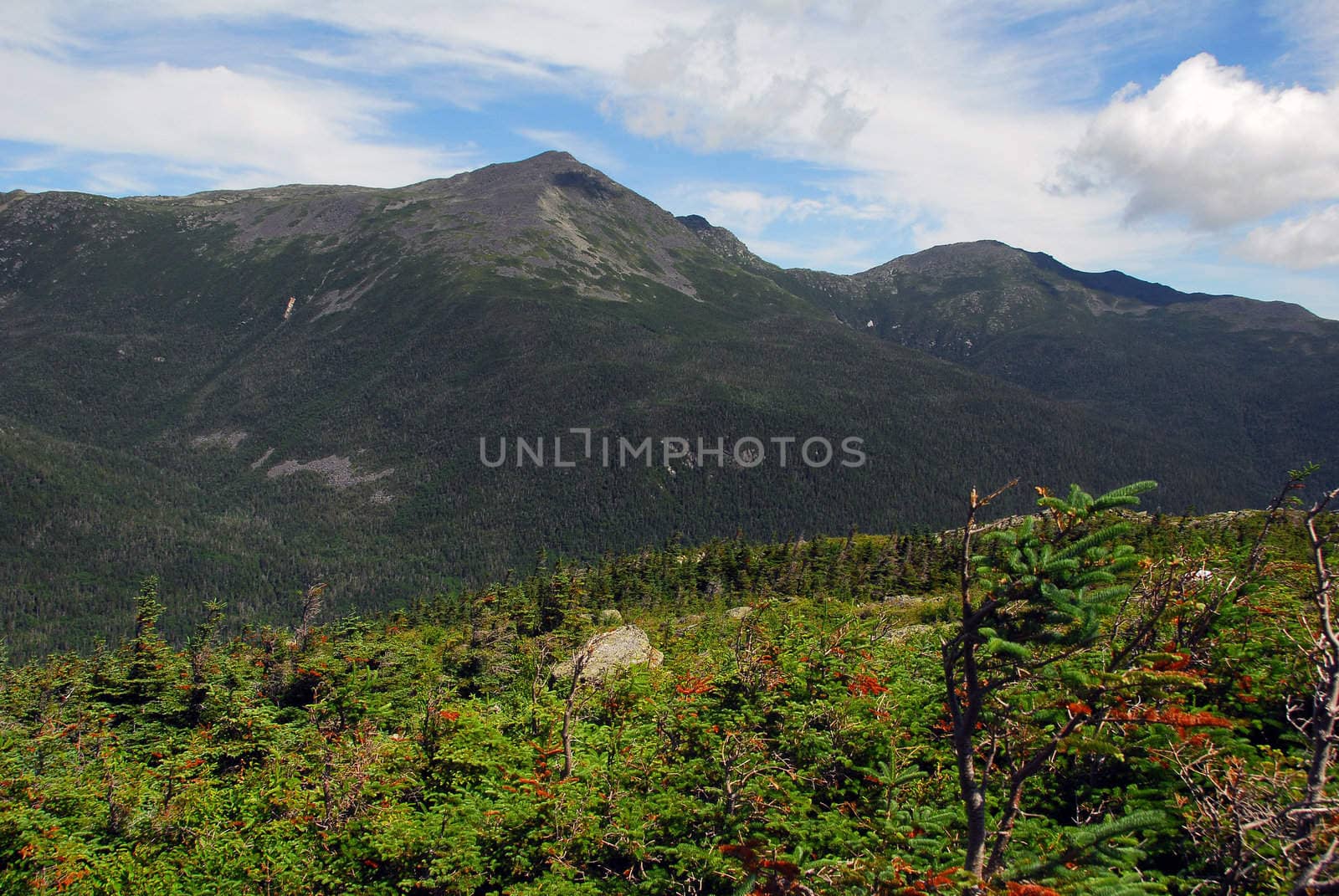 Picture of the White Mountains of New Hampshire in summer