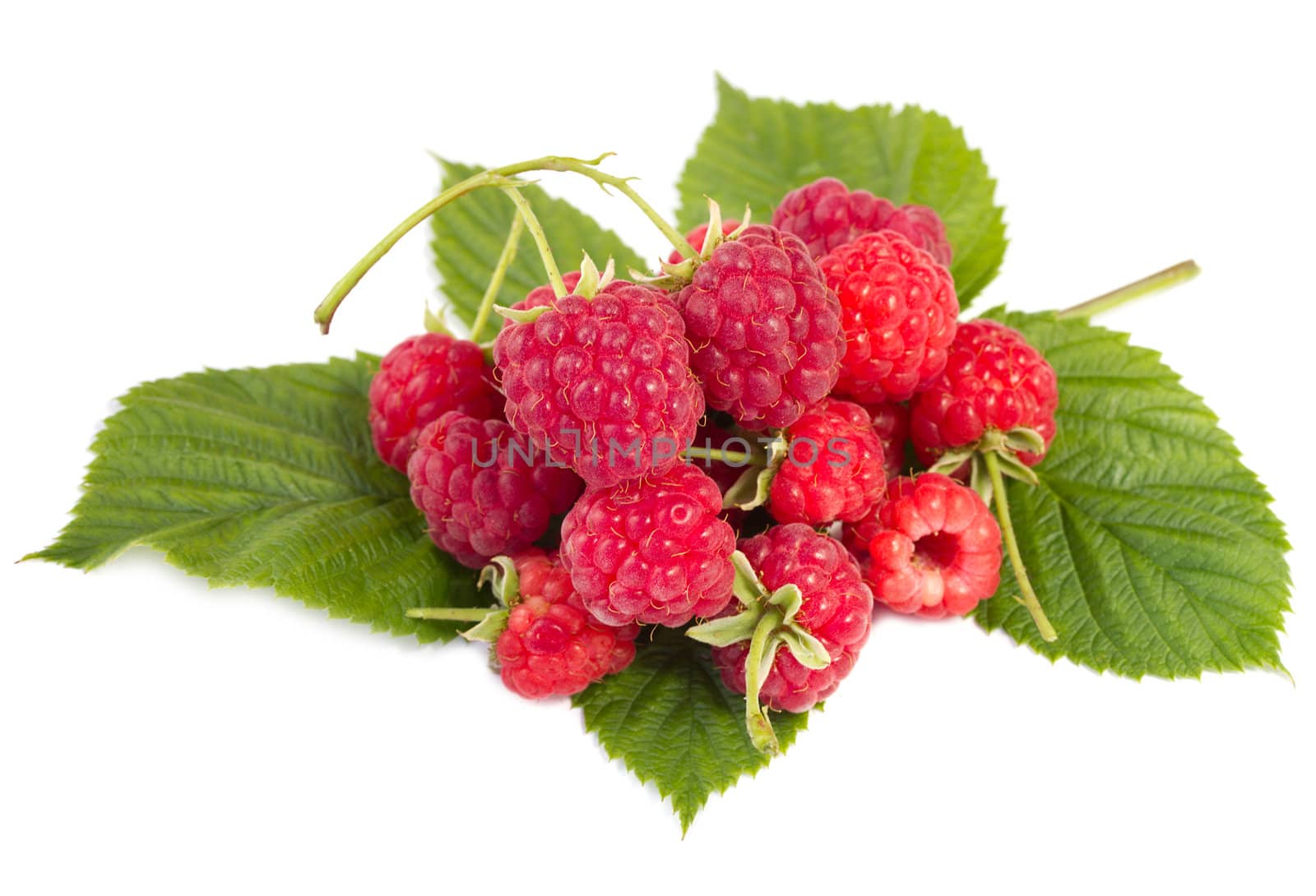 heap of ripe raspberries with leaves, isolated on white