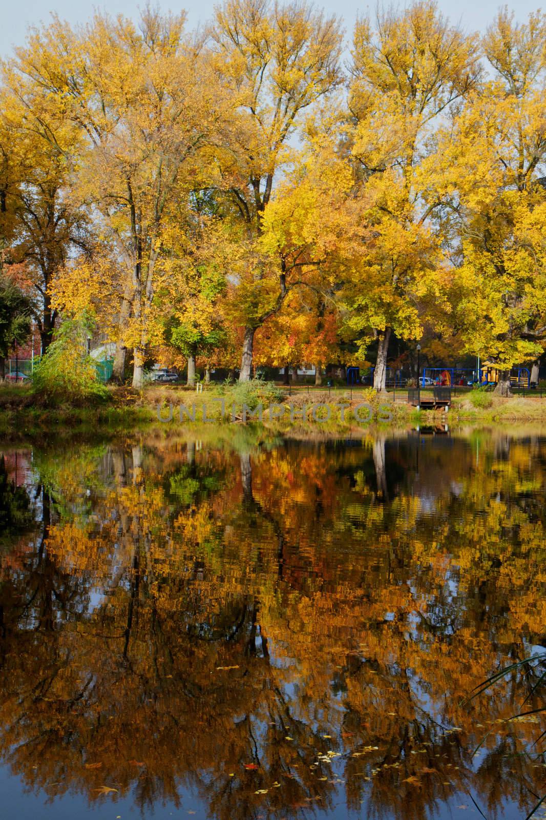 Red, Orange, yellow, brown, and green reflections of autumn park trees in a still pond