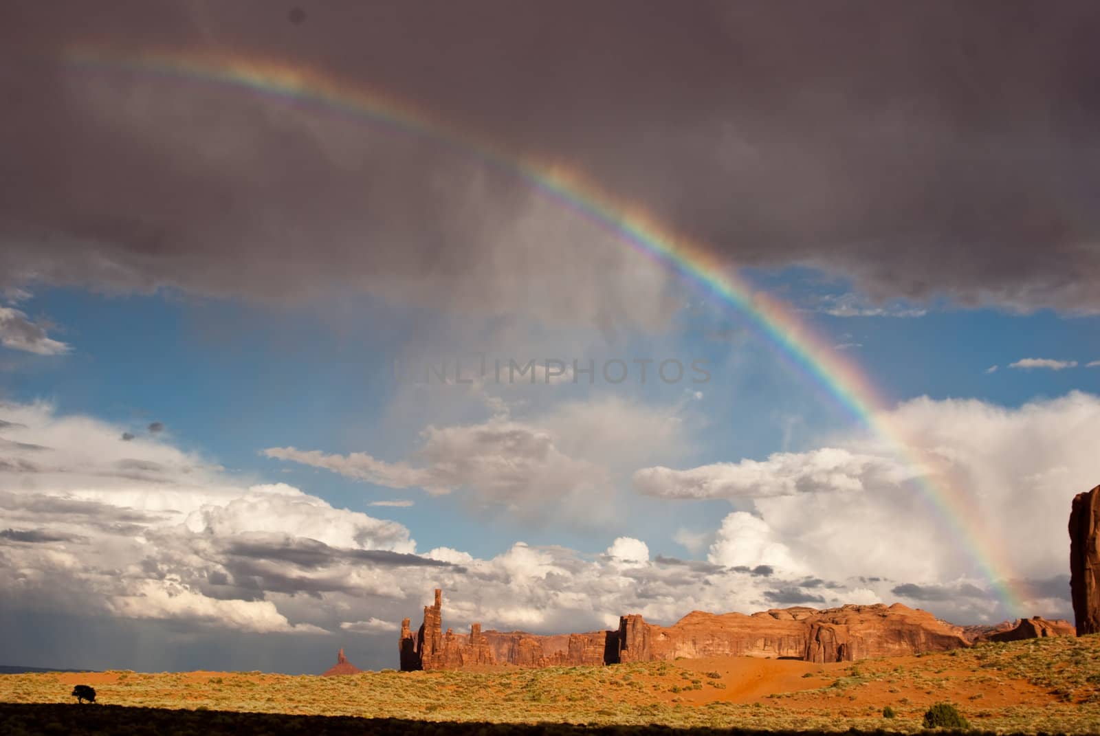Rainbow over Monument Valley by emattil