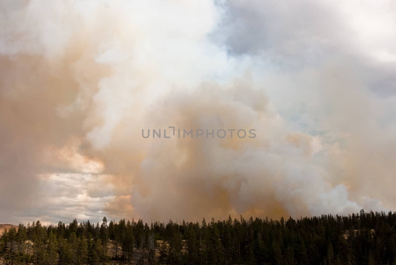 Yellowstone ablaze as smoke fills the evening sky