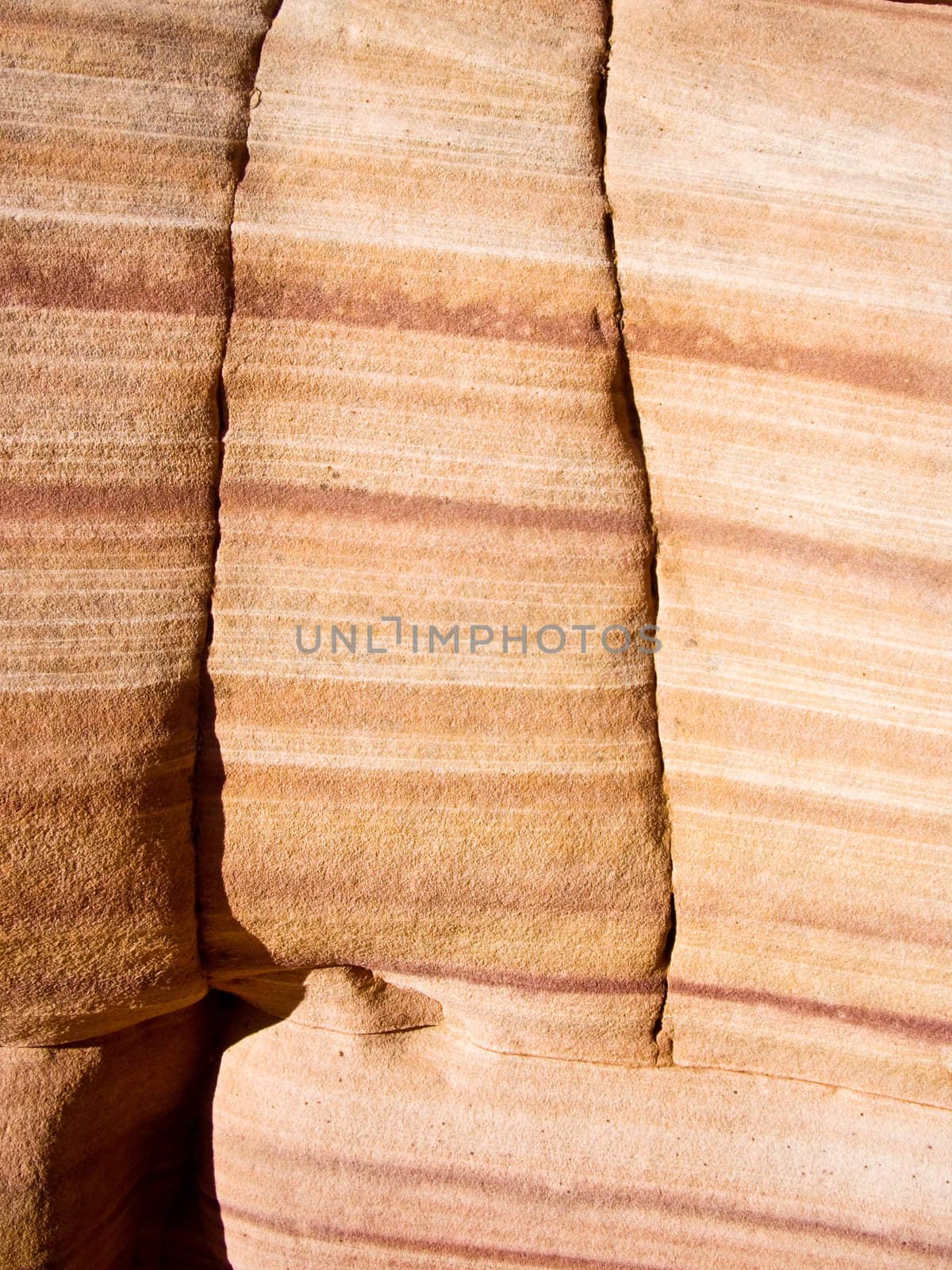 Wall of striped sandstone in Valley of Fire, USA