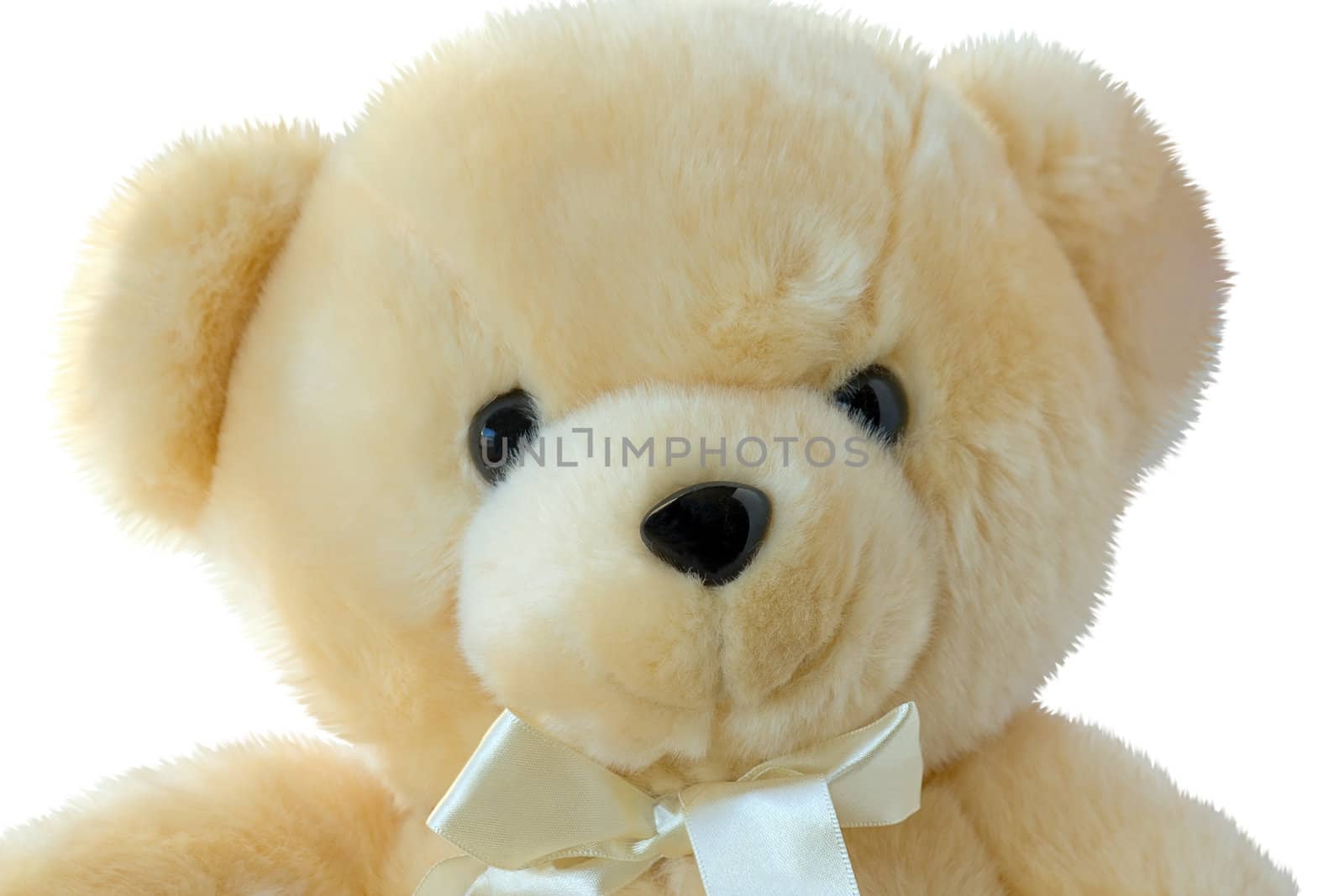 Brown teddy bear isolated on white background, close-up.