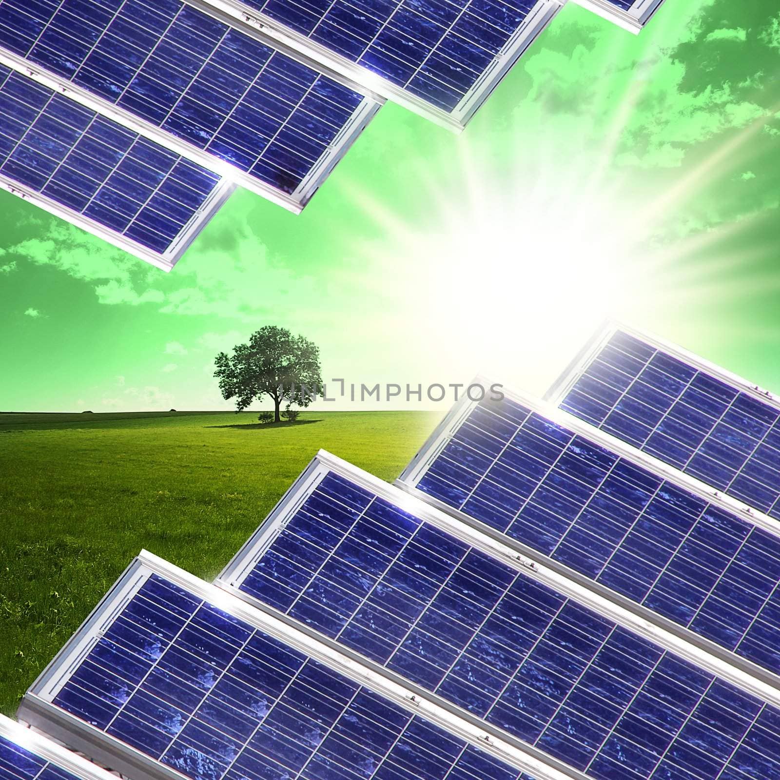 New blue solar panels in the nature