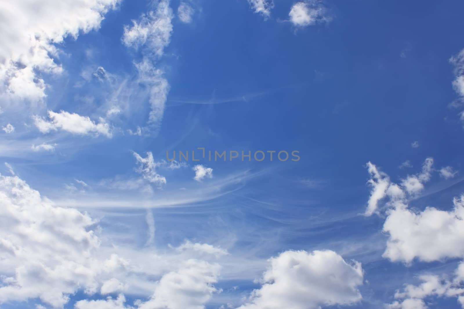 Light clouds of various types on the background of a blue sky