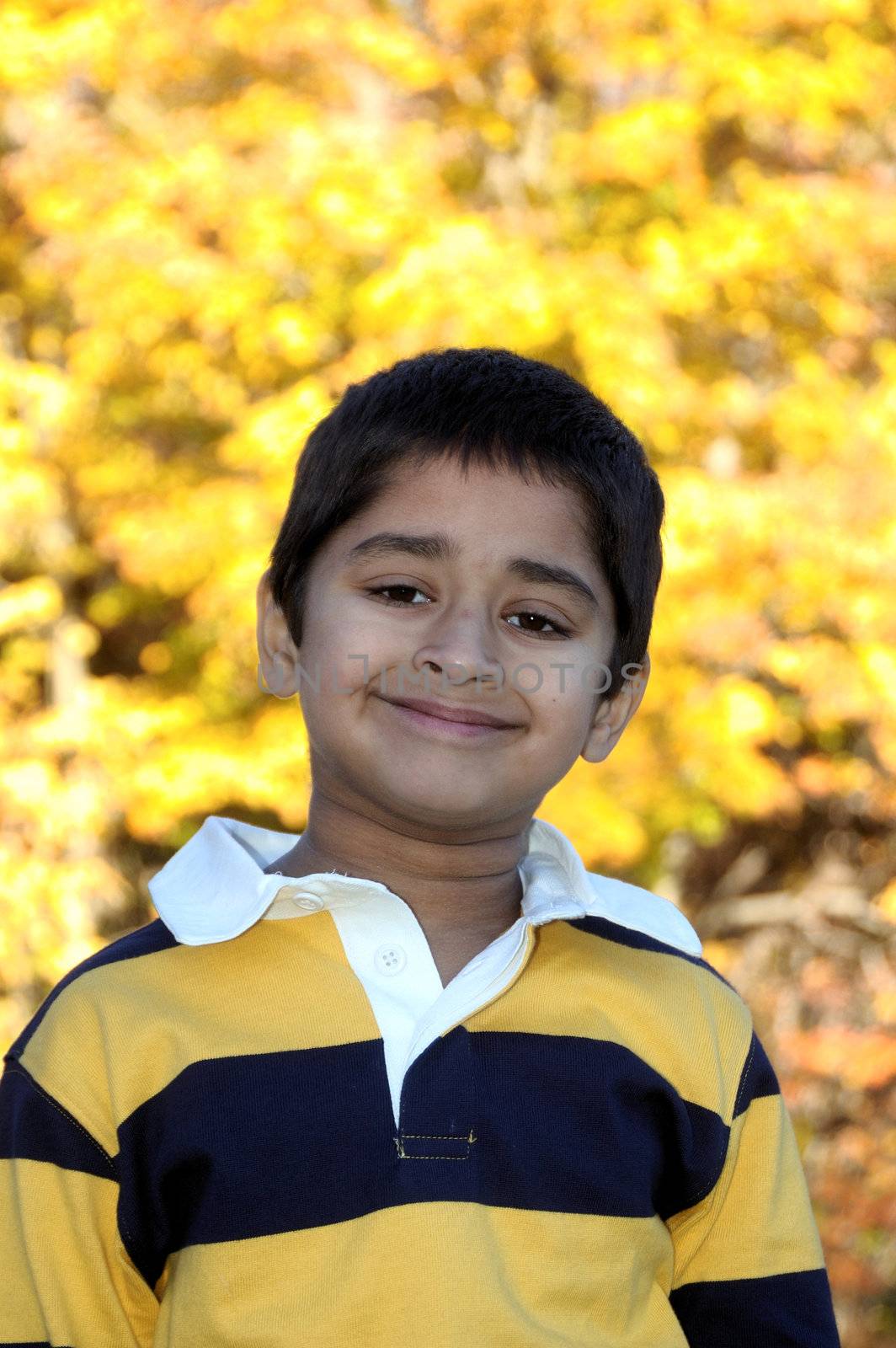 An handsome Indian kid smiling nicely for you