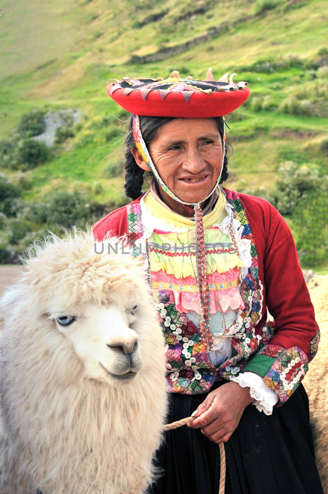 An old Peruvian farmer holding a Lama