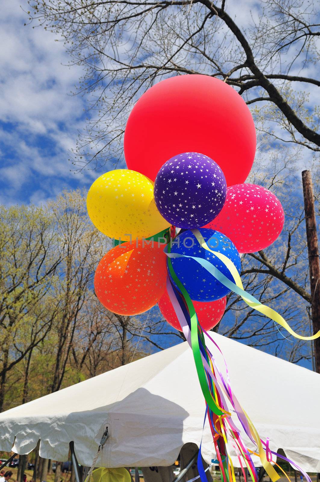 Balloons by pazham