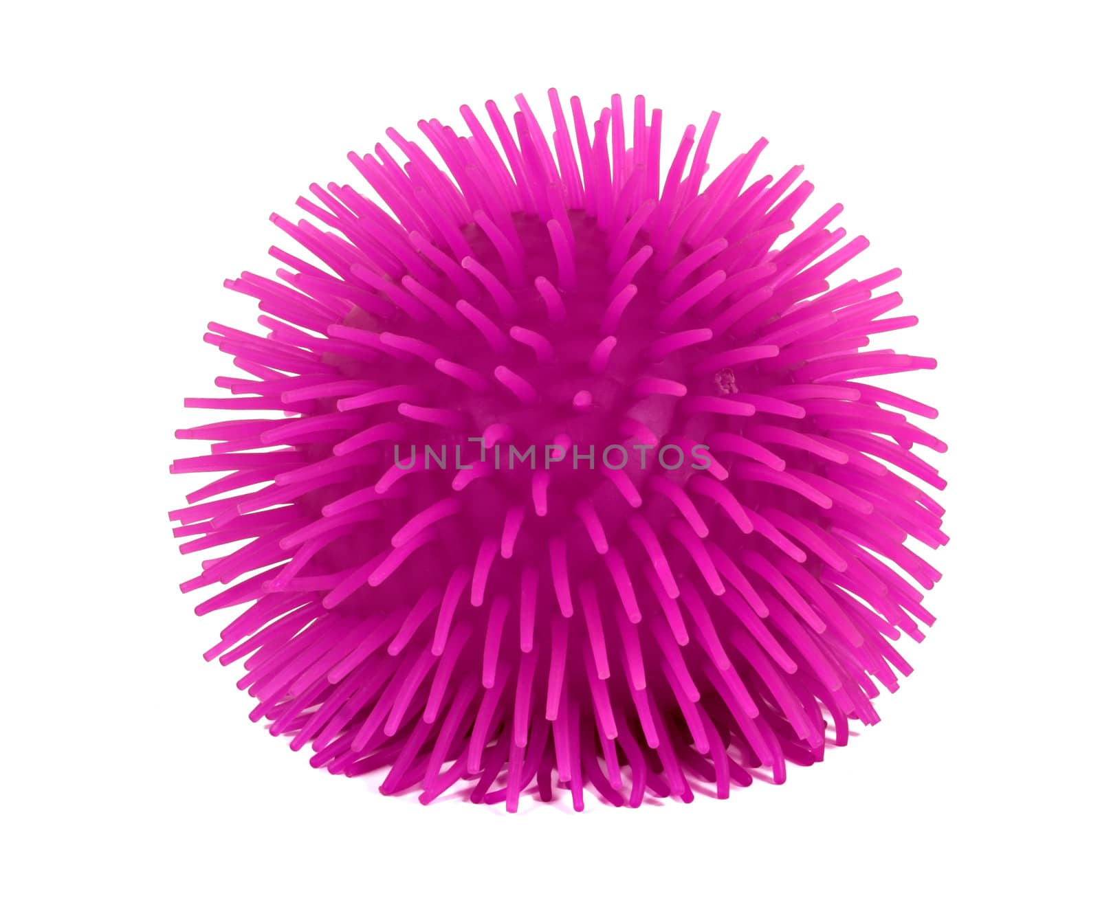 A rubber spike ball isolated over a white background