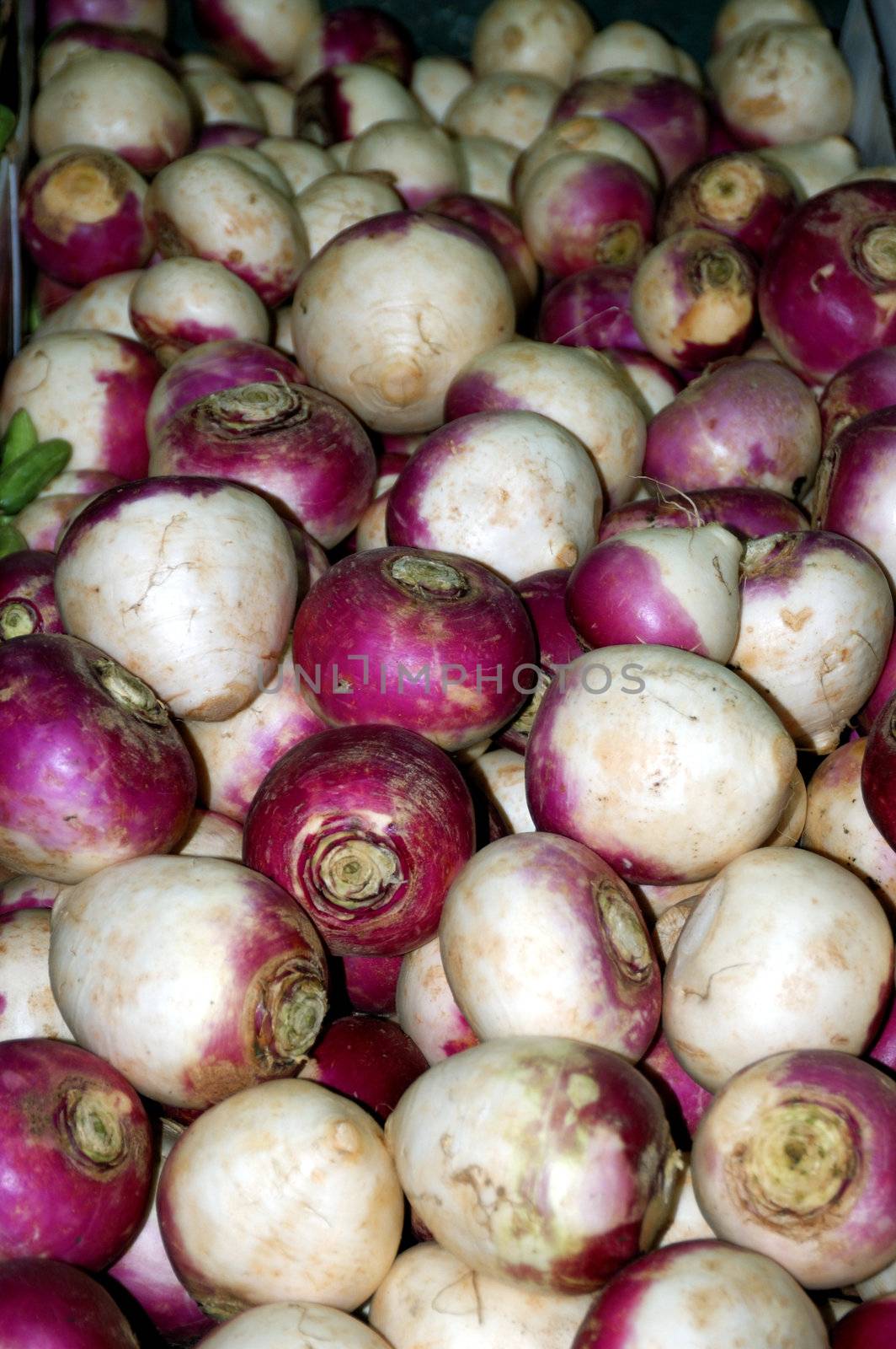 Freshly produced turnips ready for sale at a local farmer's market