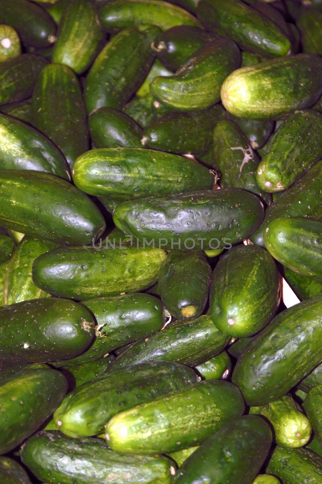 Macro shot of multiple cucumbers back ground