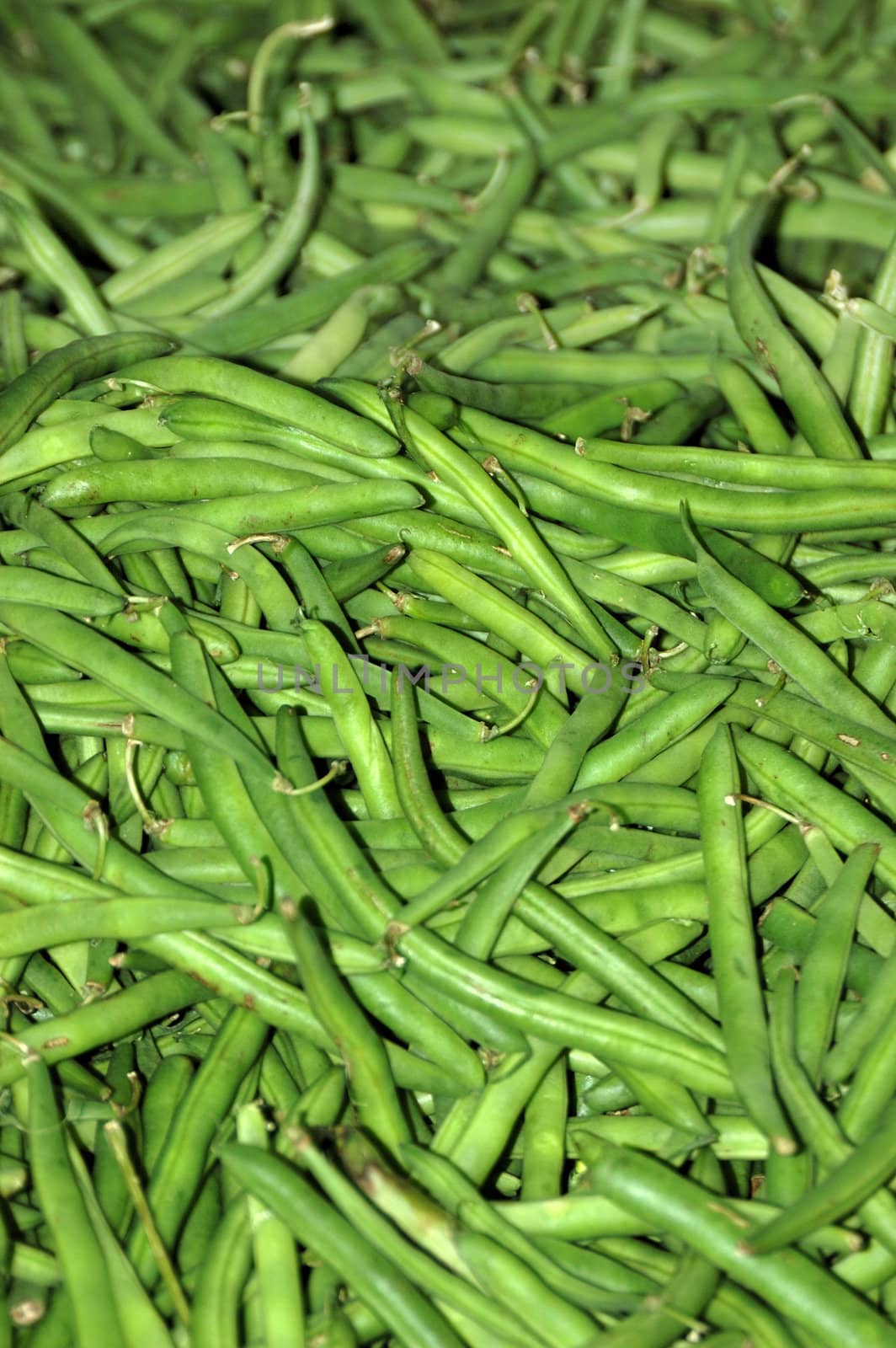 Freshly picked green beans ready for sale