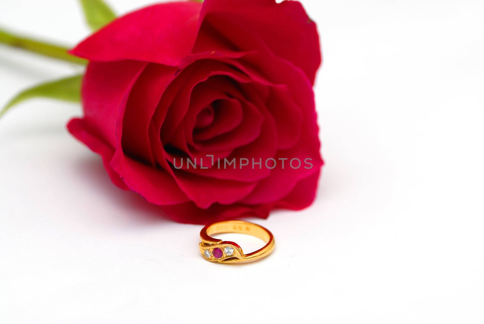 Beautiful Diamond Ring in Red Rose