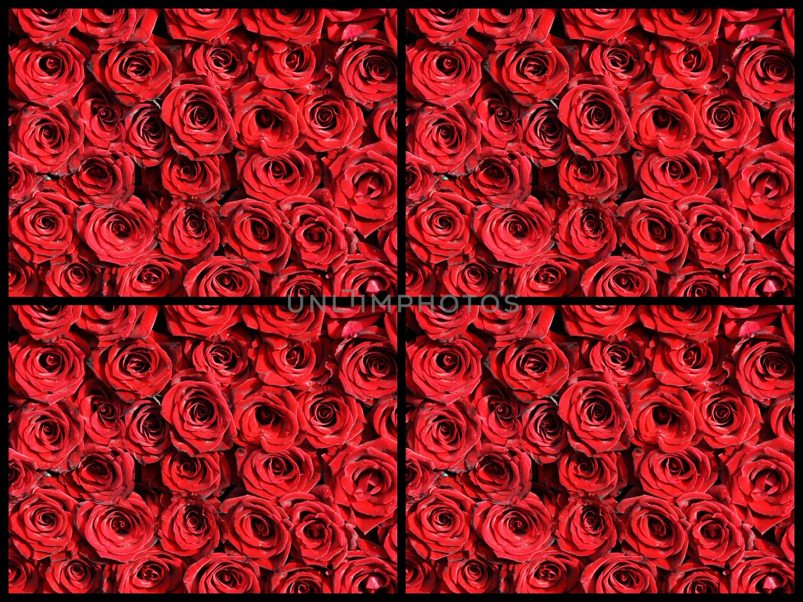 Red Rose collage by Baltus