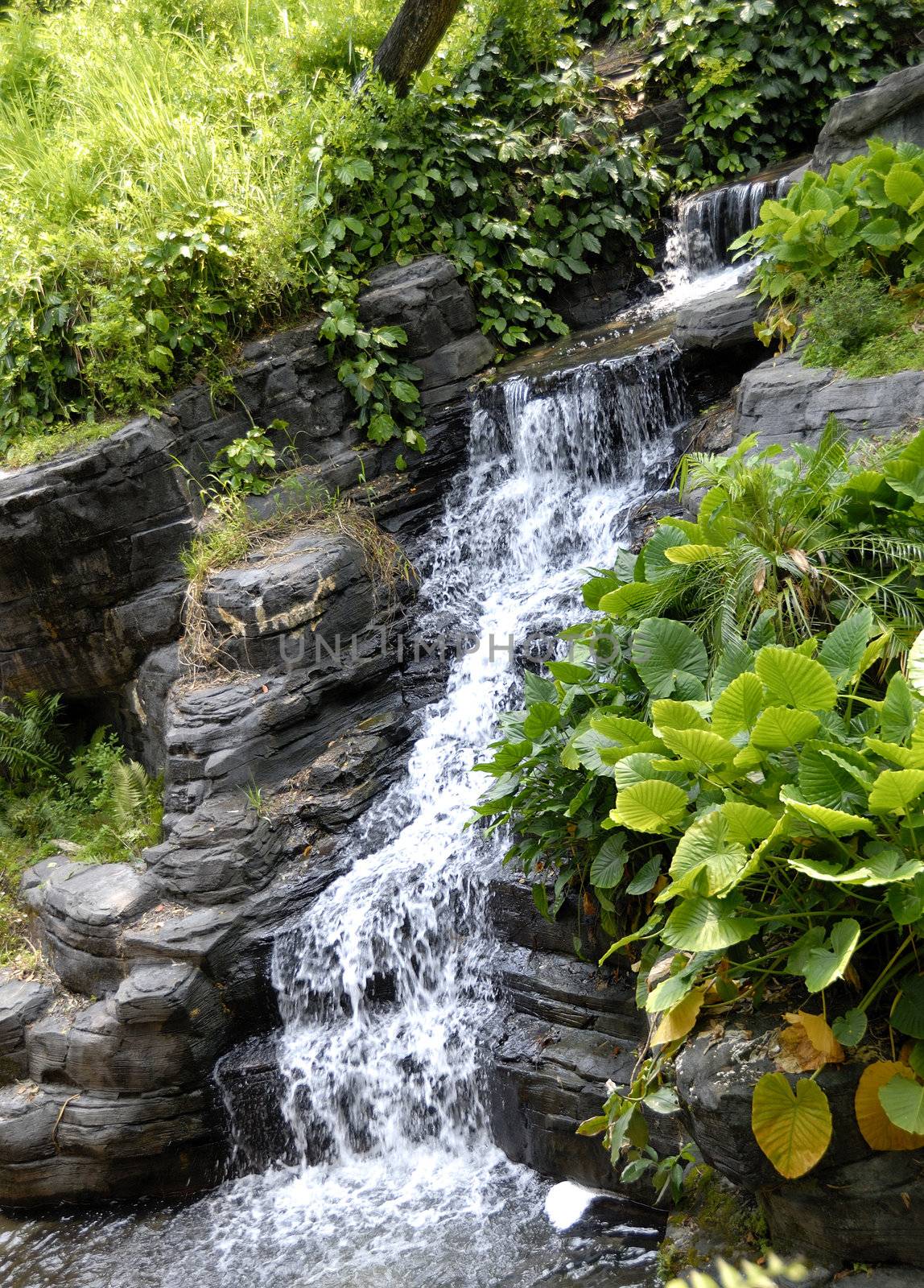 Lush green water fall during the peak spring season