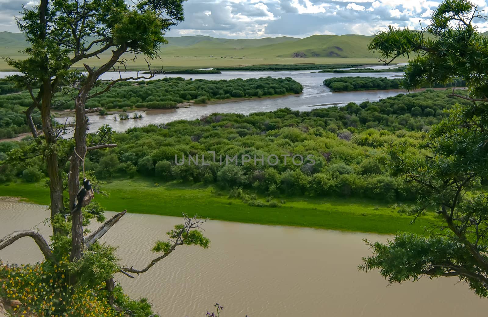 Taken in the upper reaches of the Yellow River in China,was taken in August 2008