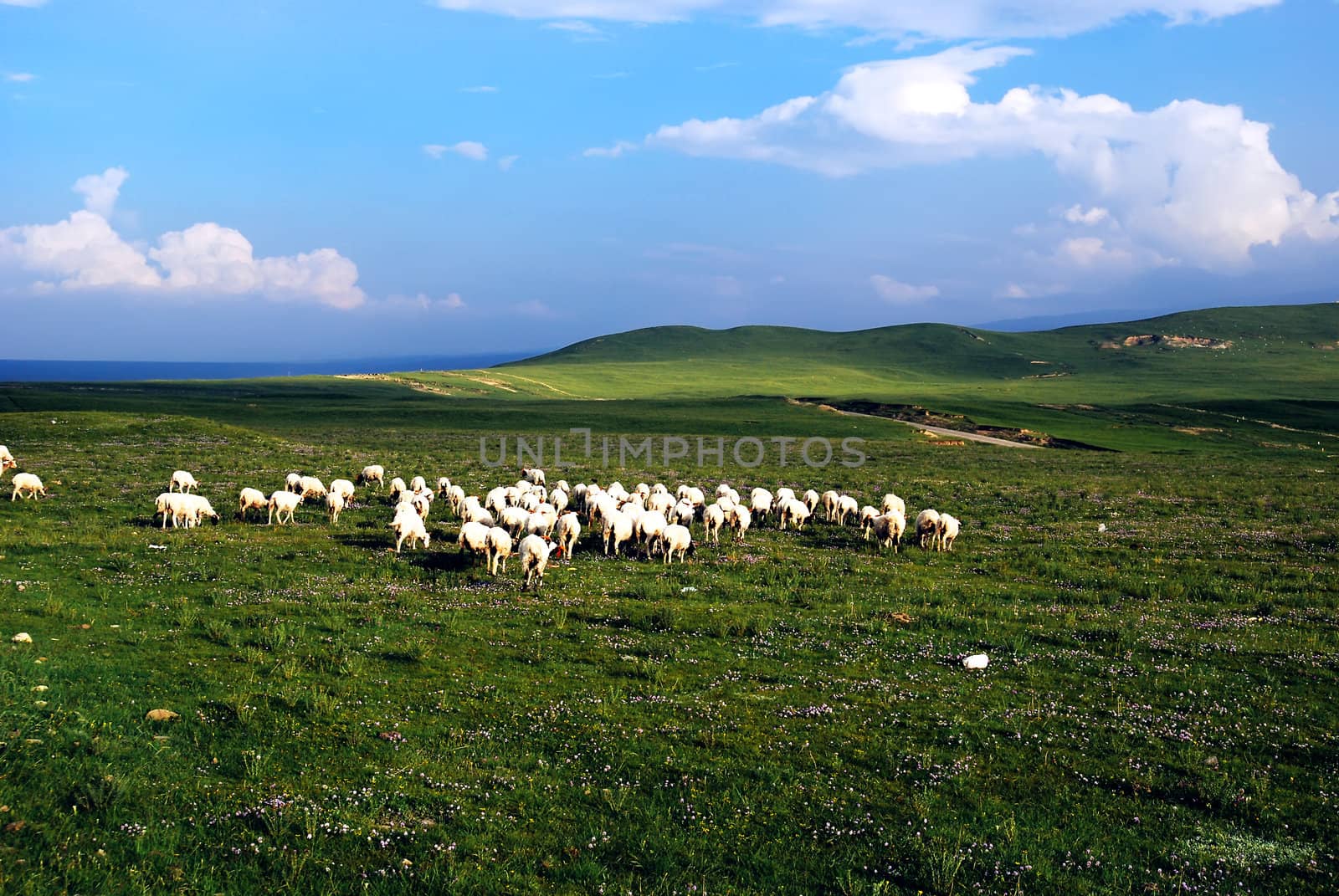 Here is China's Qinghai Province, Highlands Ranch