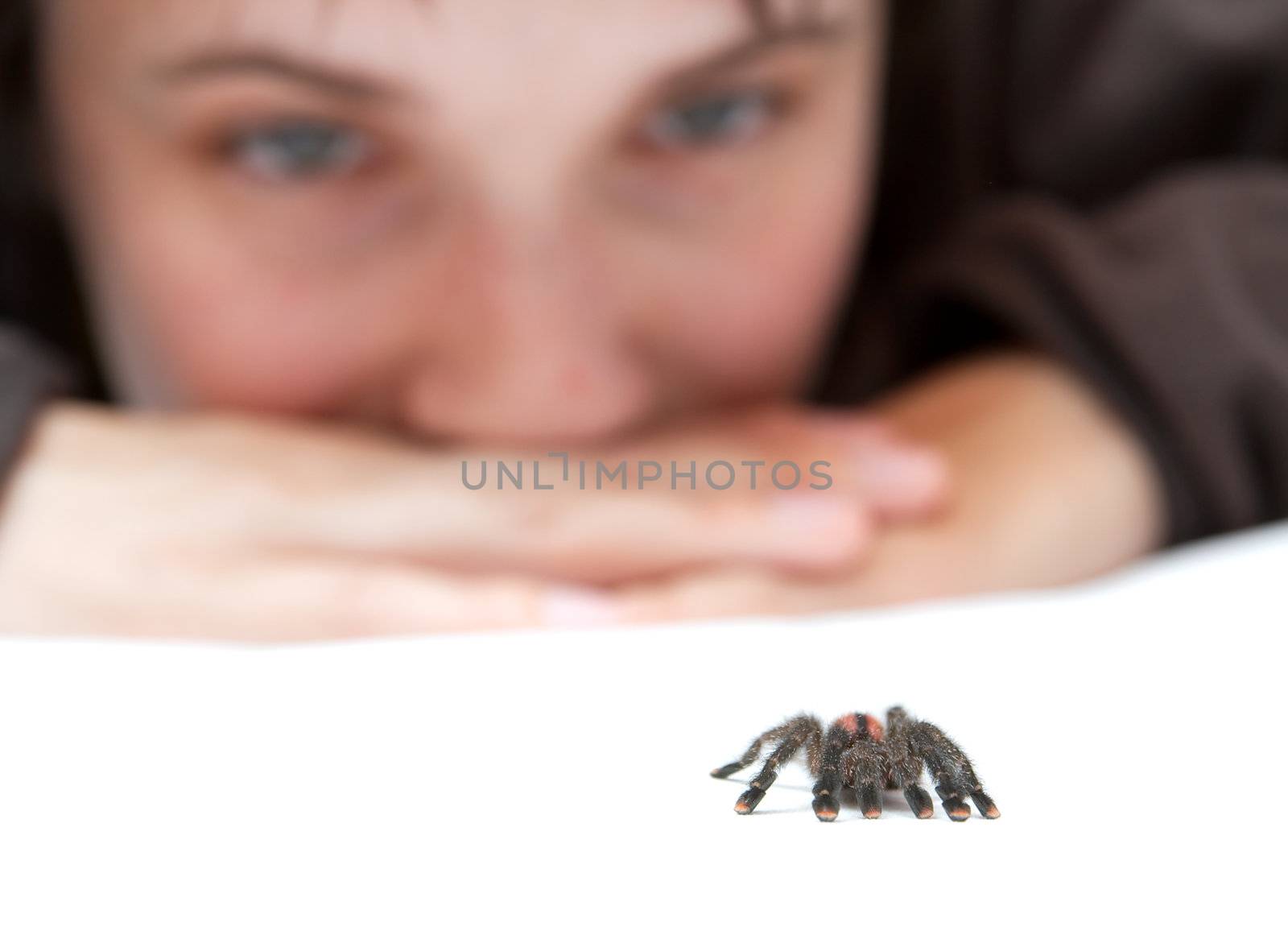 Watching a spider crawling on the bedsheets