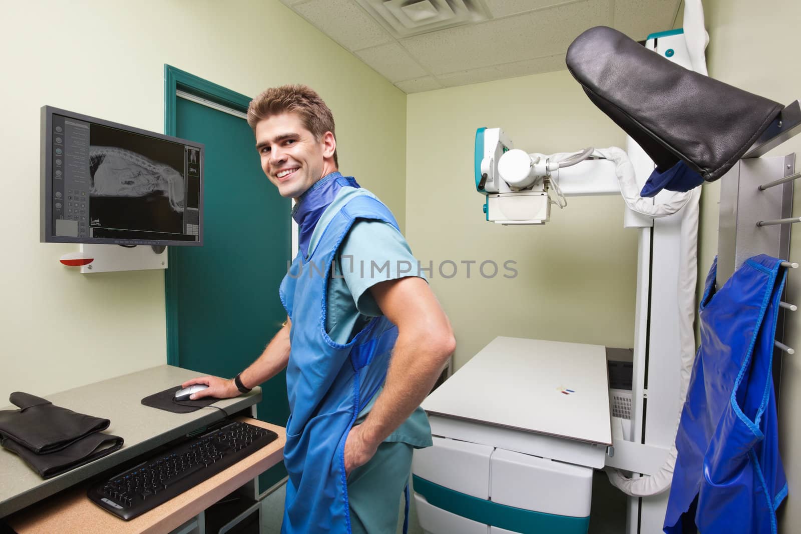 Radiologist examining  dog's x-ray in examination room