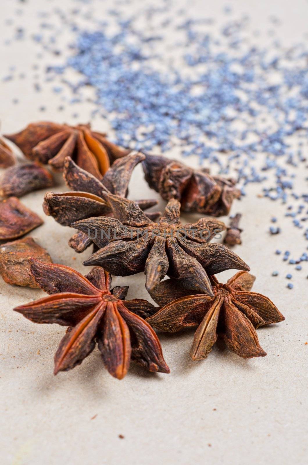 Anise stars close-up on a brown background