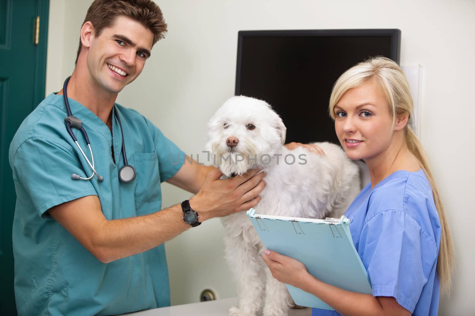 Vet with assistant examining dog by leaf