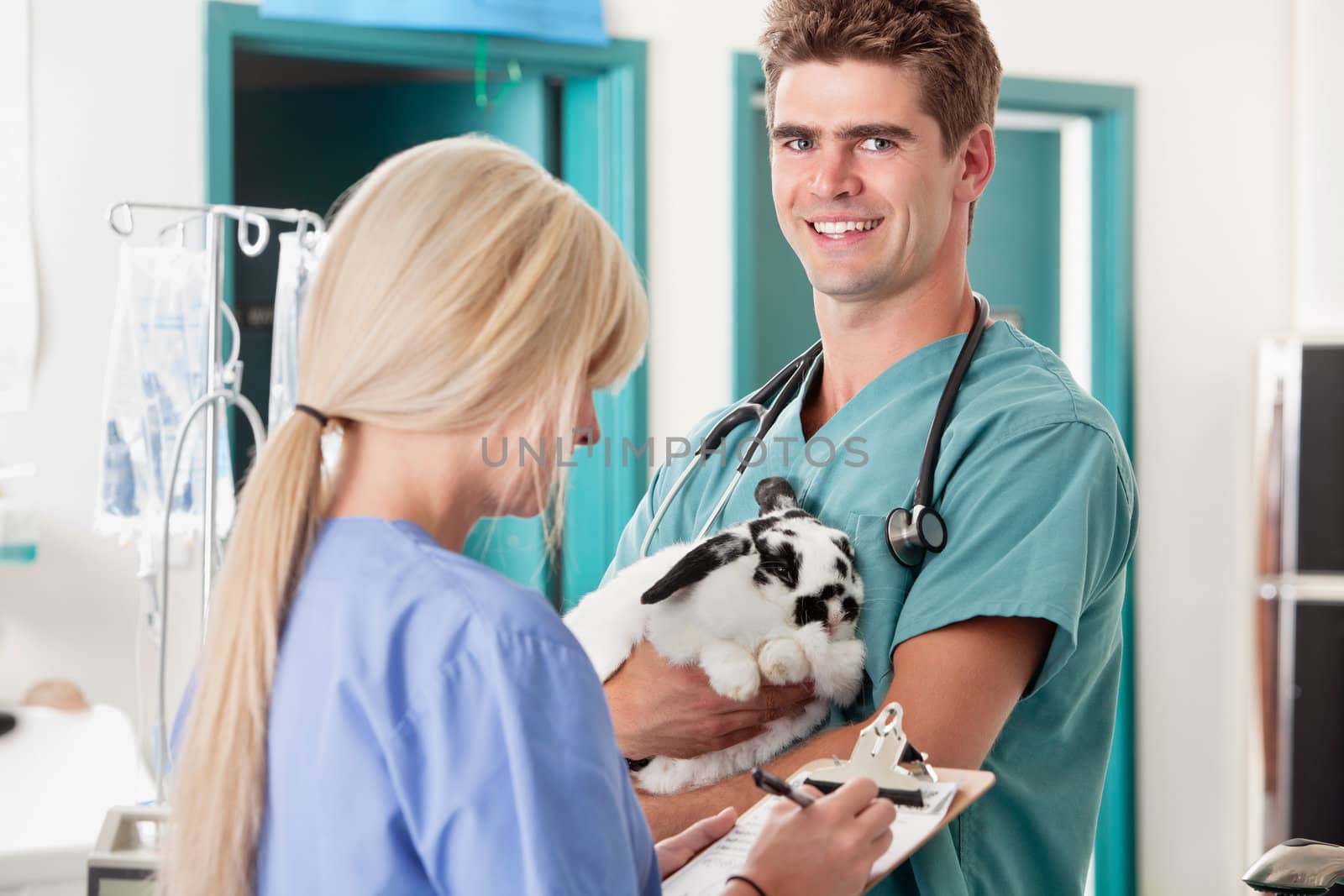 Veterinarian holding rabbit and his coworker taking report by leaf
