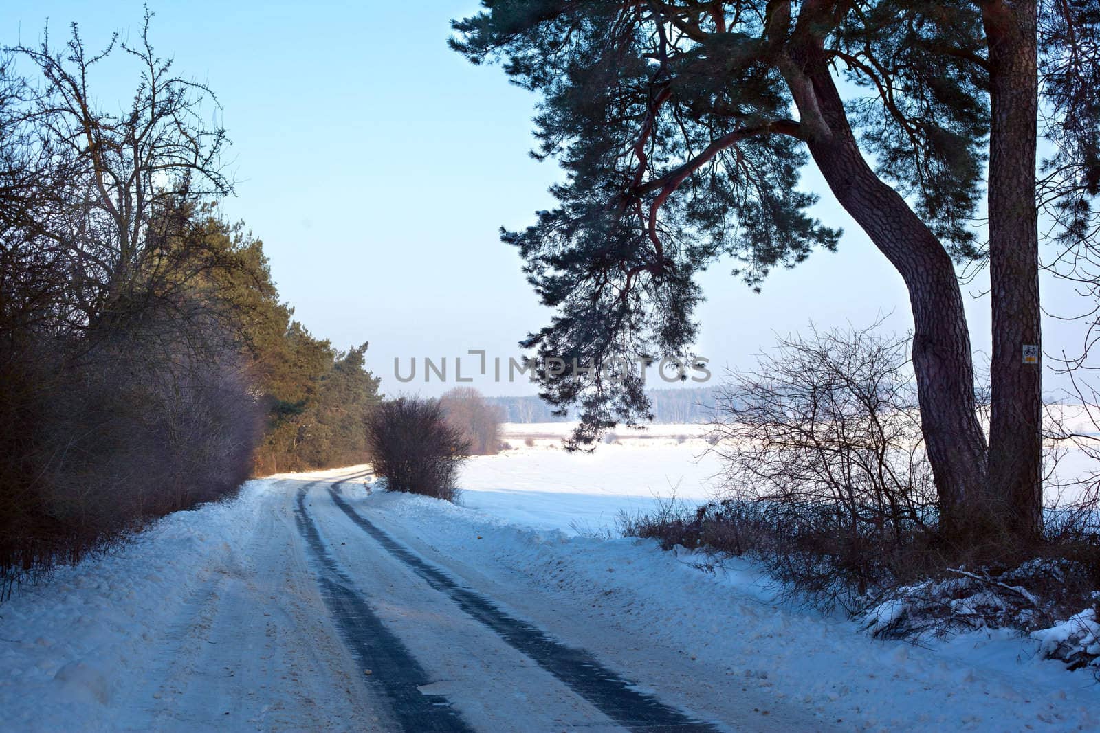 Winter scene by remik44992