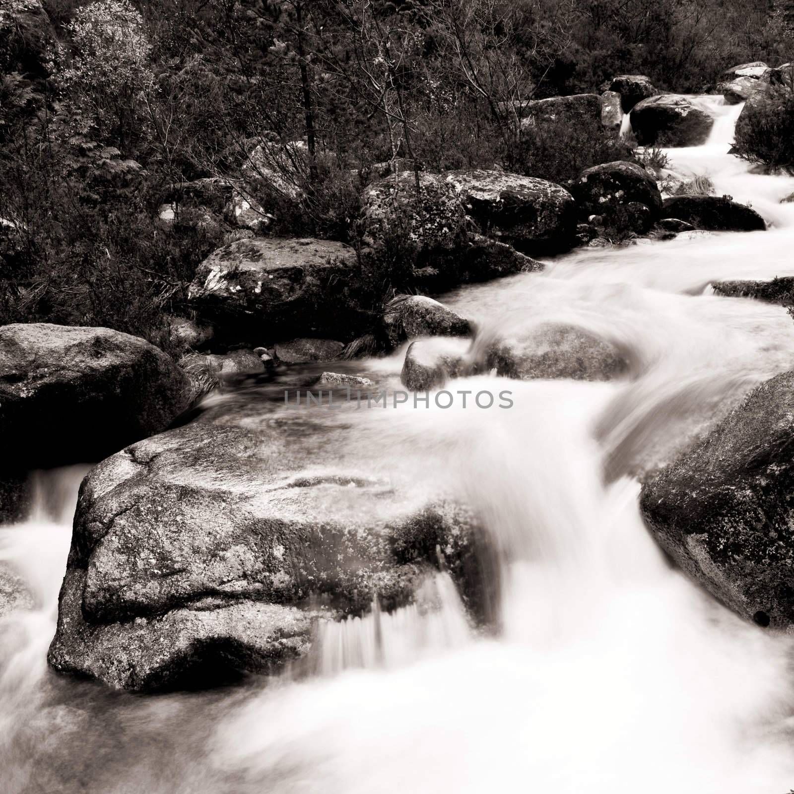 Beautiful river flowing by the stones
