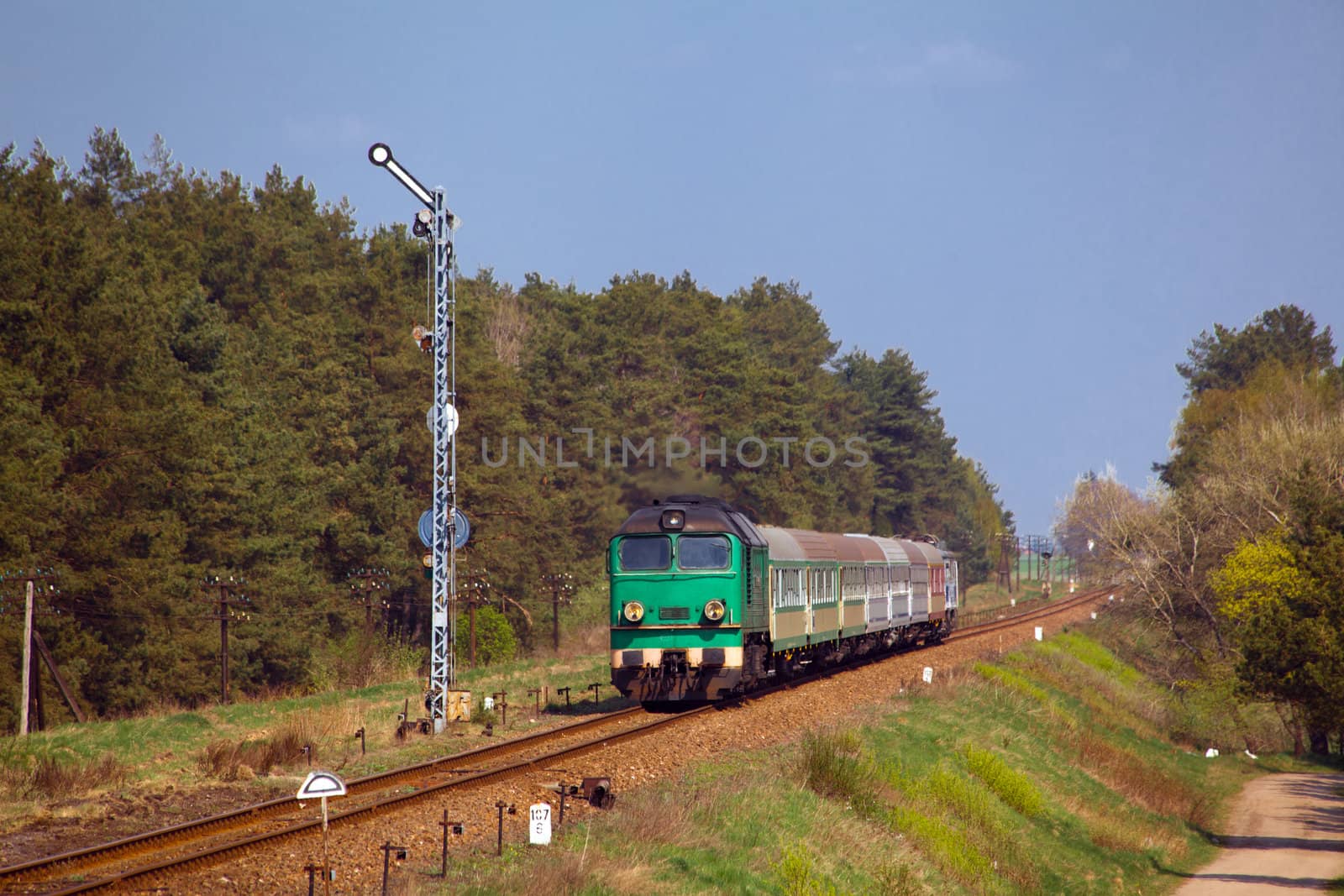 Passenger train hauled by the diesel locomotive passing the sunny landscape
