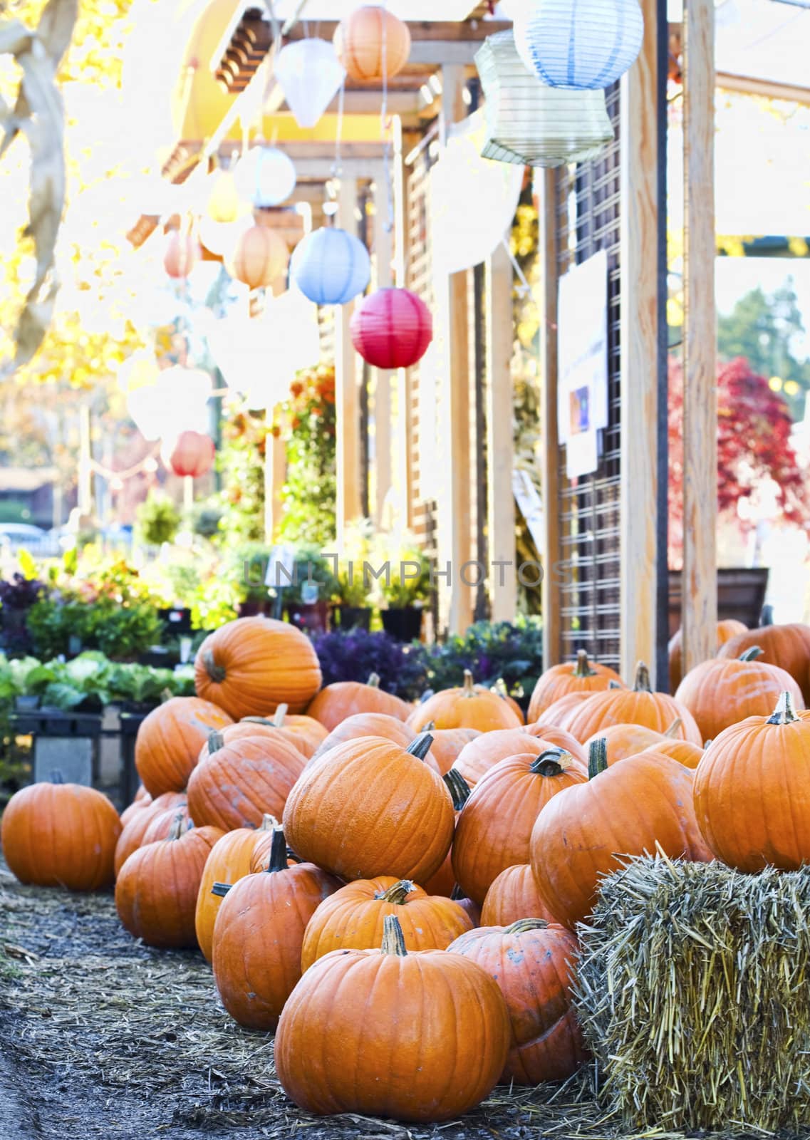 Pumpkins piled up in colorful display with hay bales