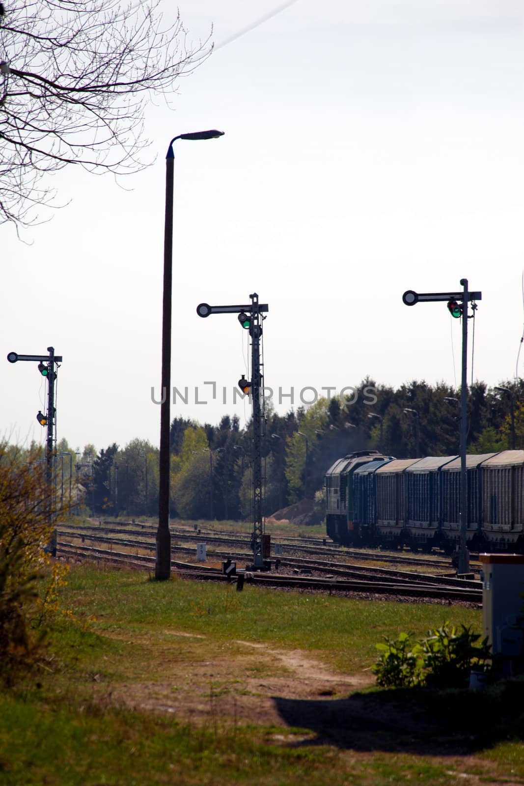 Freight train entering the station
