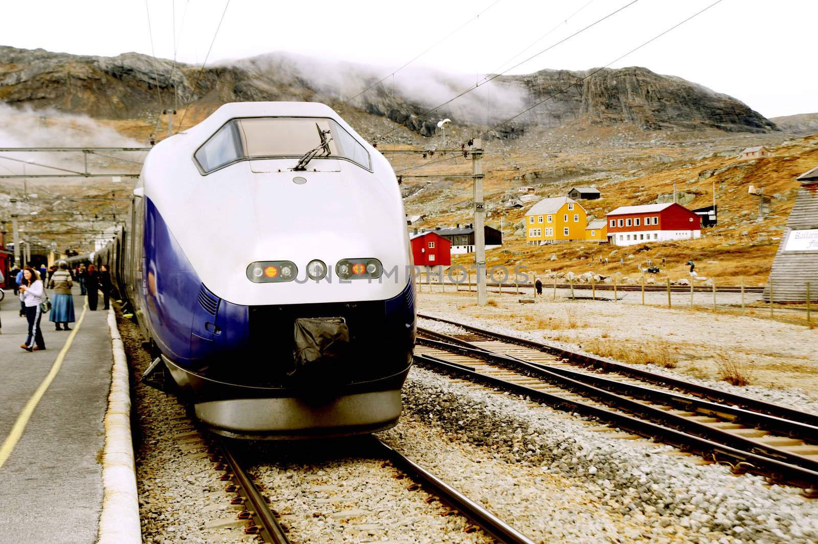 Train stop between Oslo and Bergen, Norway