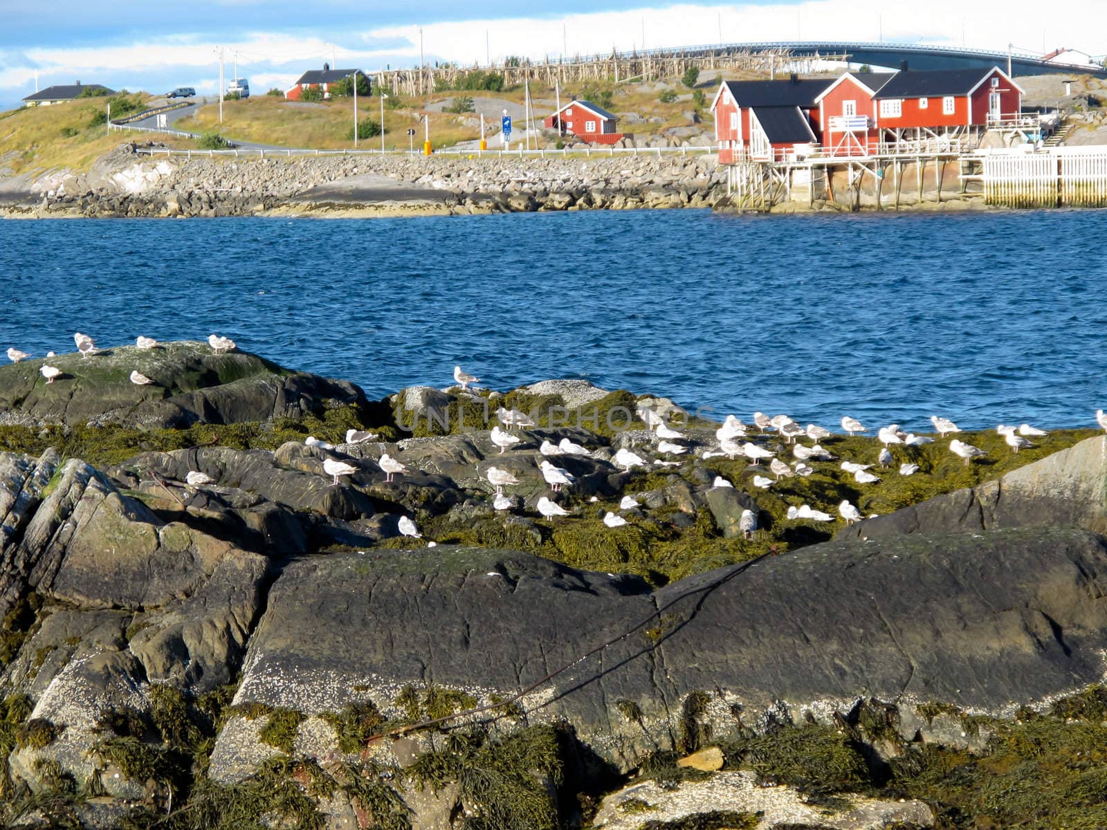 Picturesque landscape at Norway islands
