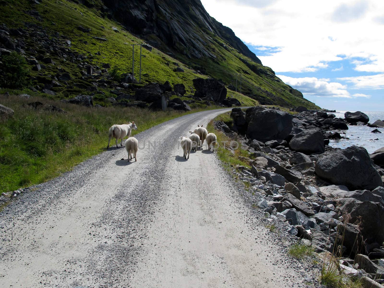 Norway landscape by remik44992