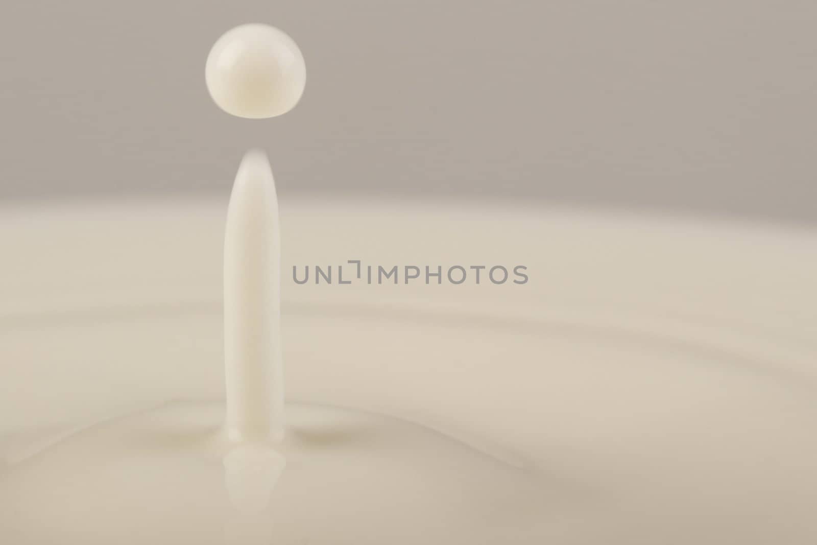 Close-up of drop of milk