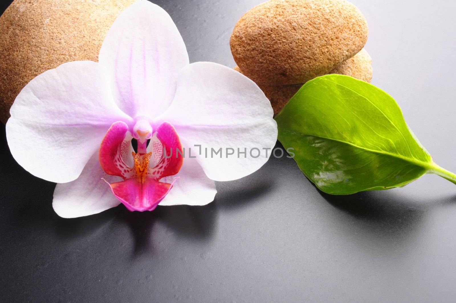 zen stones on black with copyspace showing spa concept