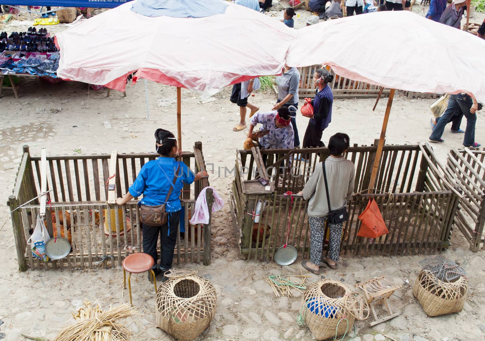 Guizhou, China - July 3: A very traditional market in rural China with woman trying to sell livestock on July 3, 2011.