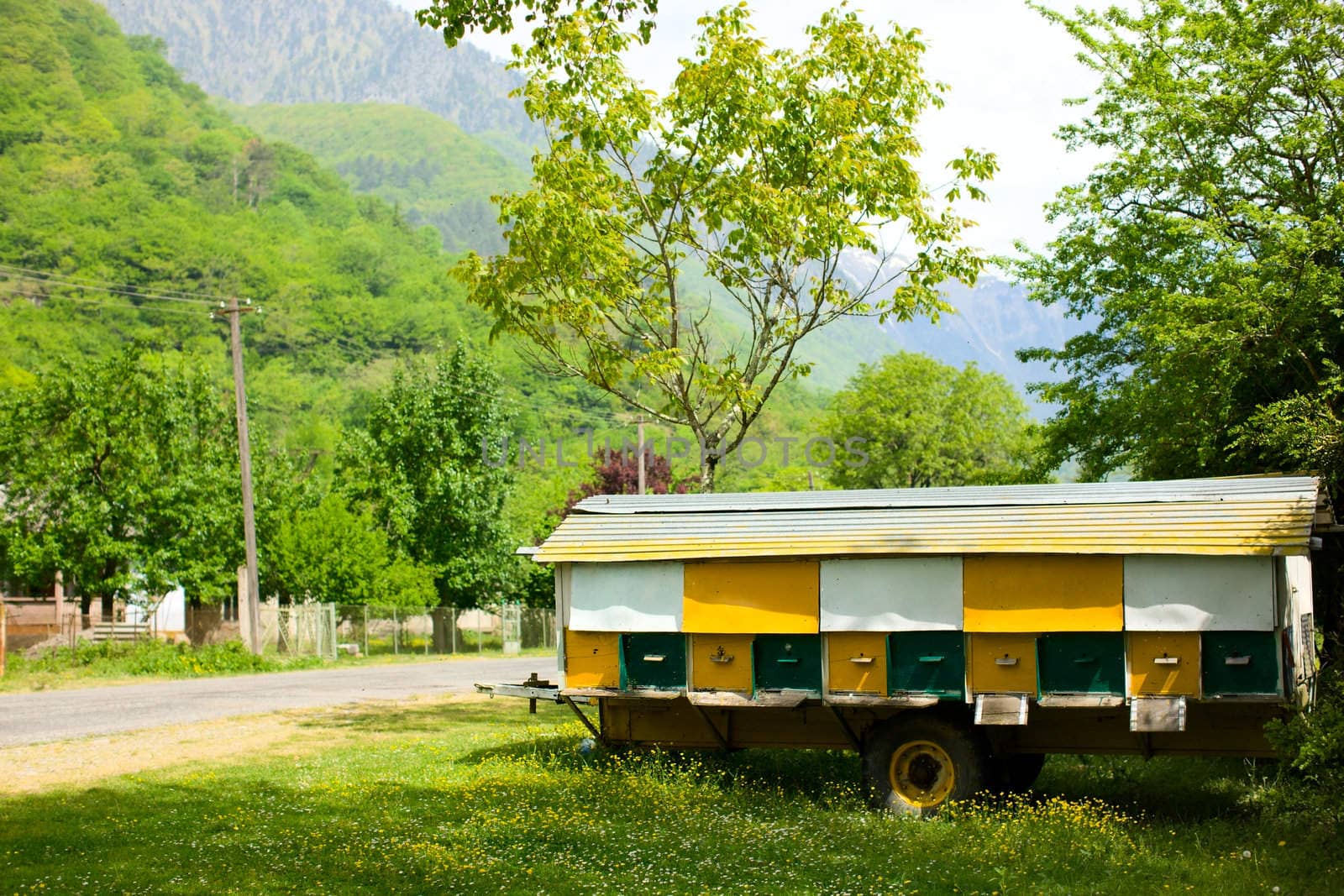 Yellow rural hive set for bee colony summer day 