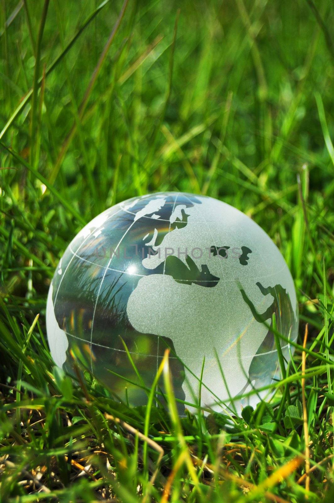 eco ecology or environmental concept with green grass globe and copyspace