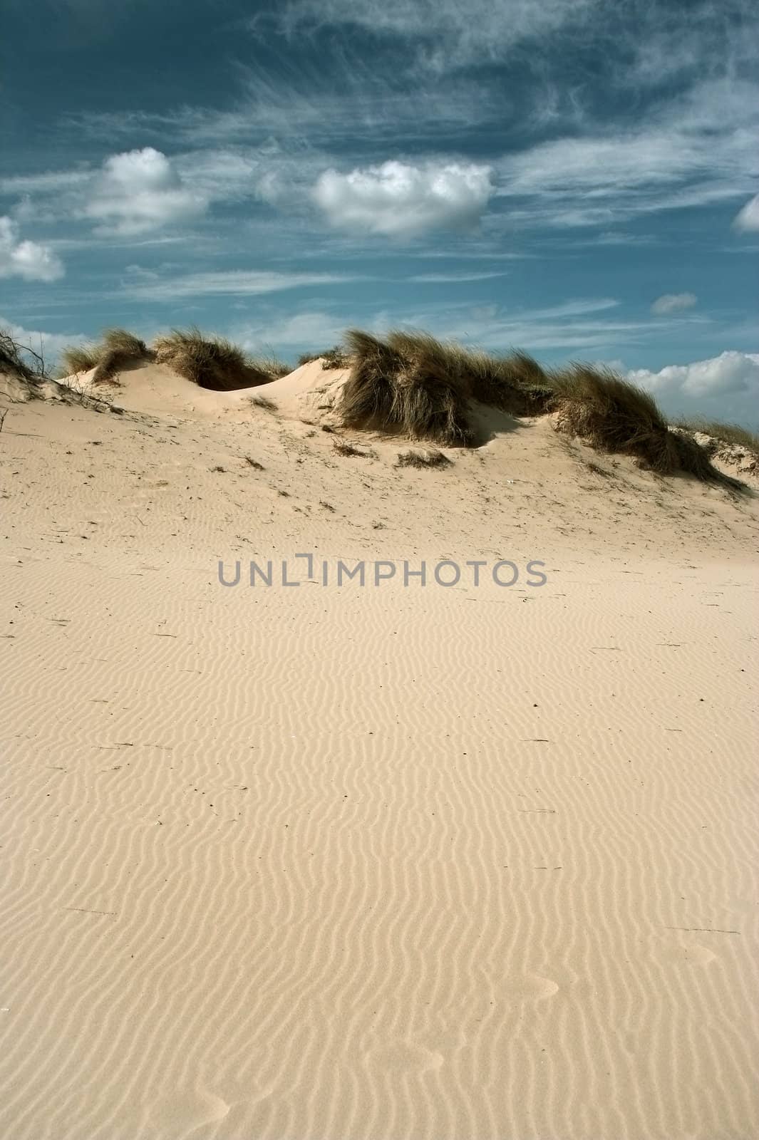 beach by alexkosev